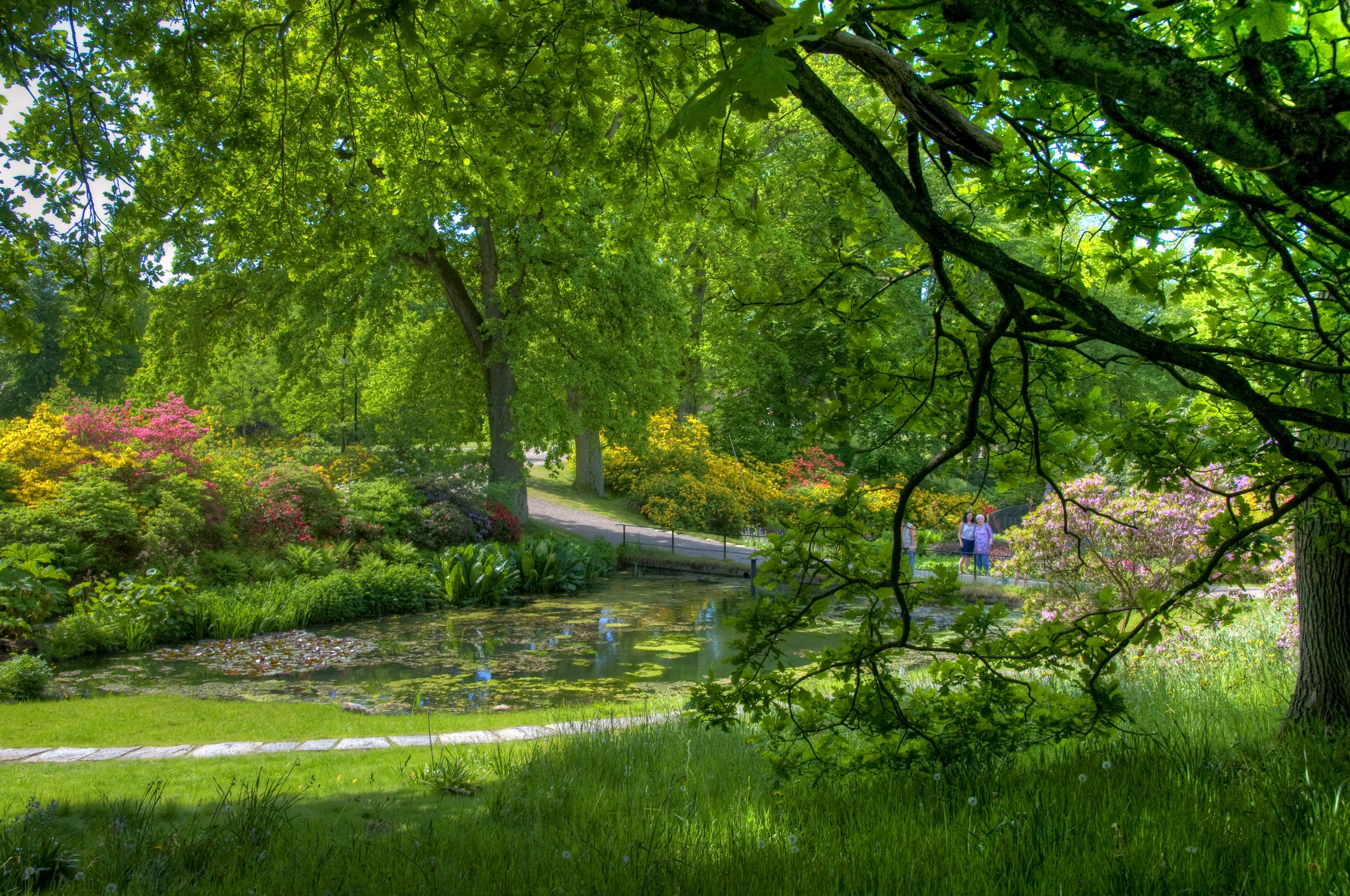 garden, green, people, nature, trees, pond, serenity