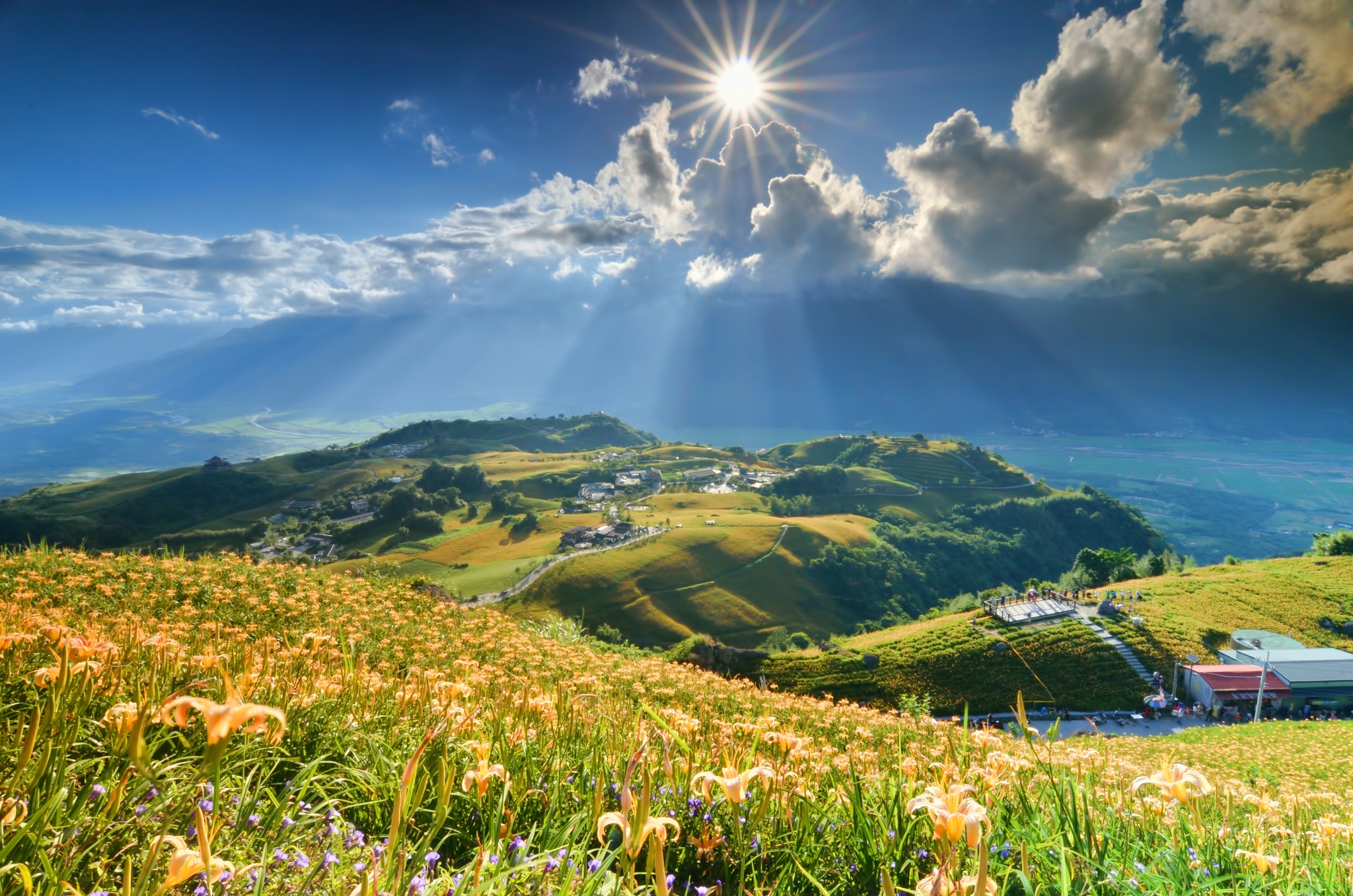 slope, clouds, nature, rays, flowers, mountains, sun, lilies, beams 5K