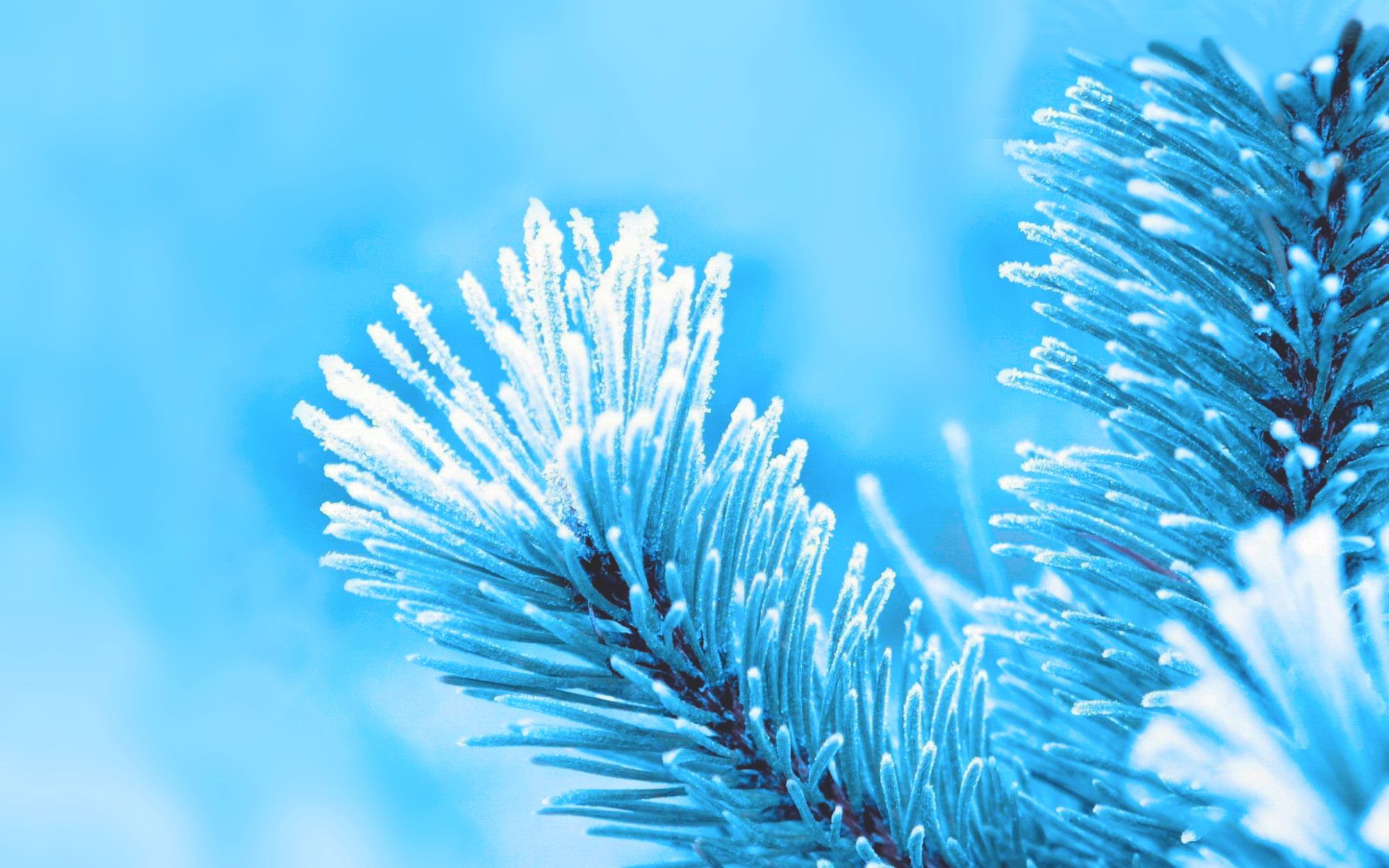 PCデスクトップに冬, 自然, 青い, 写真撮影画像を無料でダウンロード