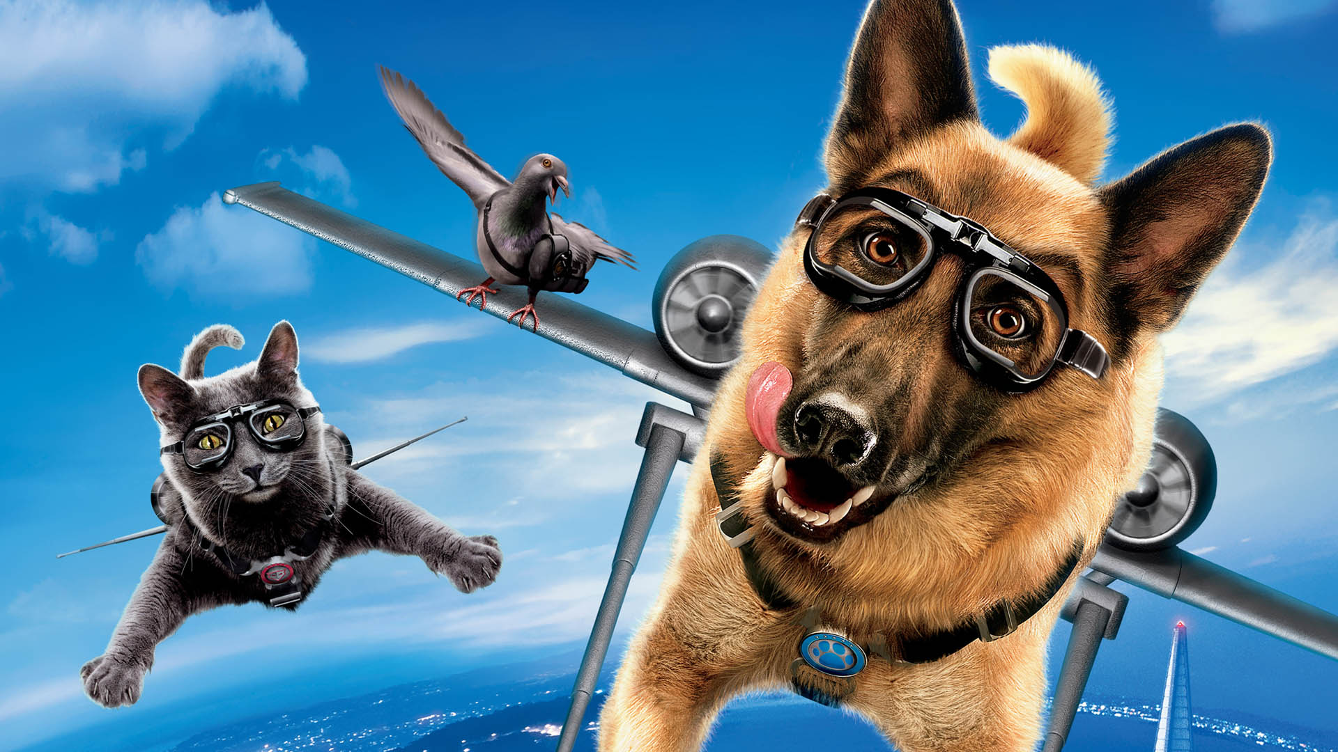 movie, cats & dogs: the revenge of kitty galore