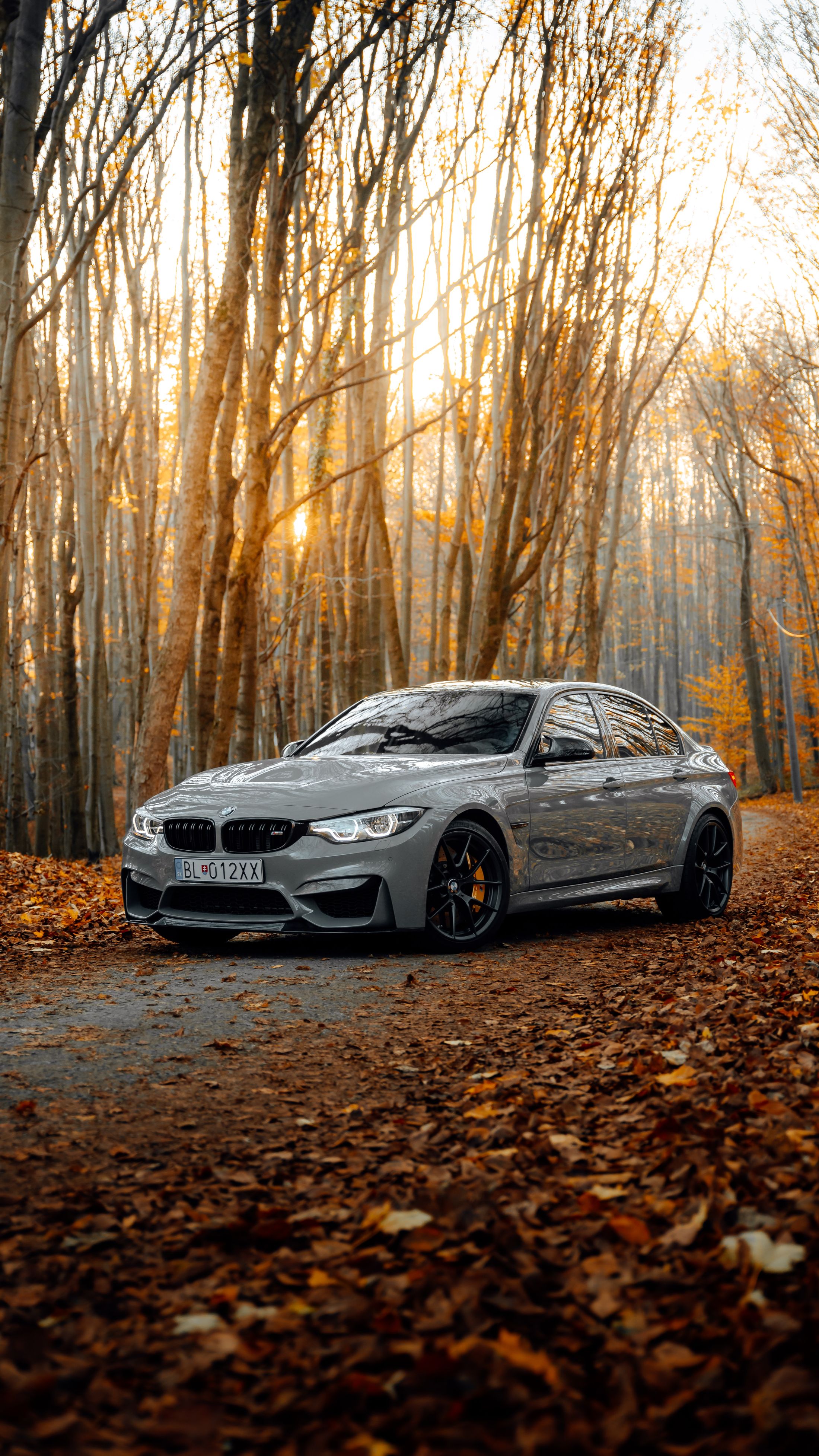 bmw-4