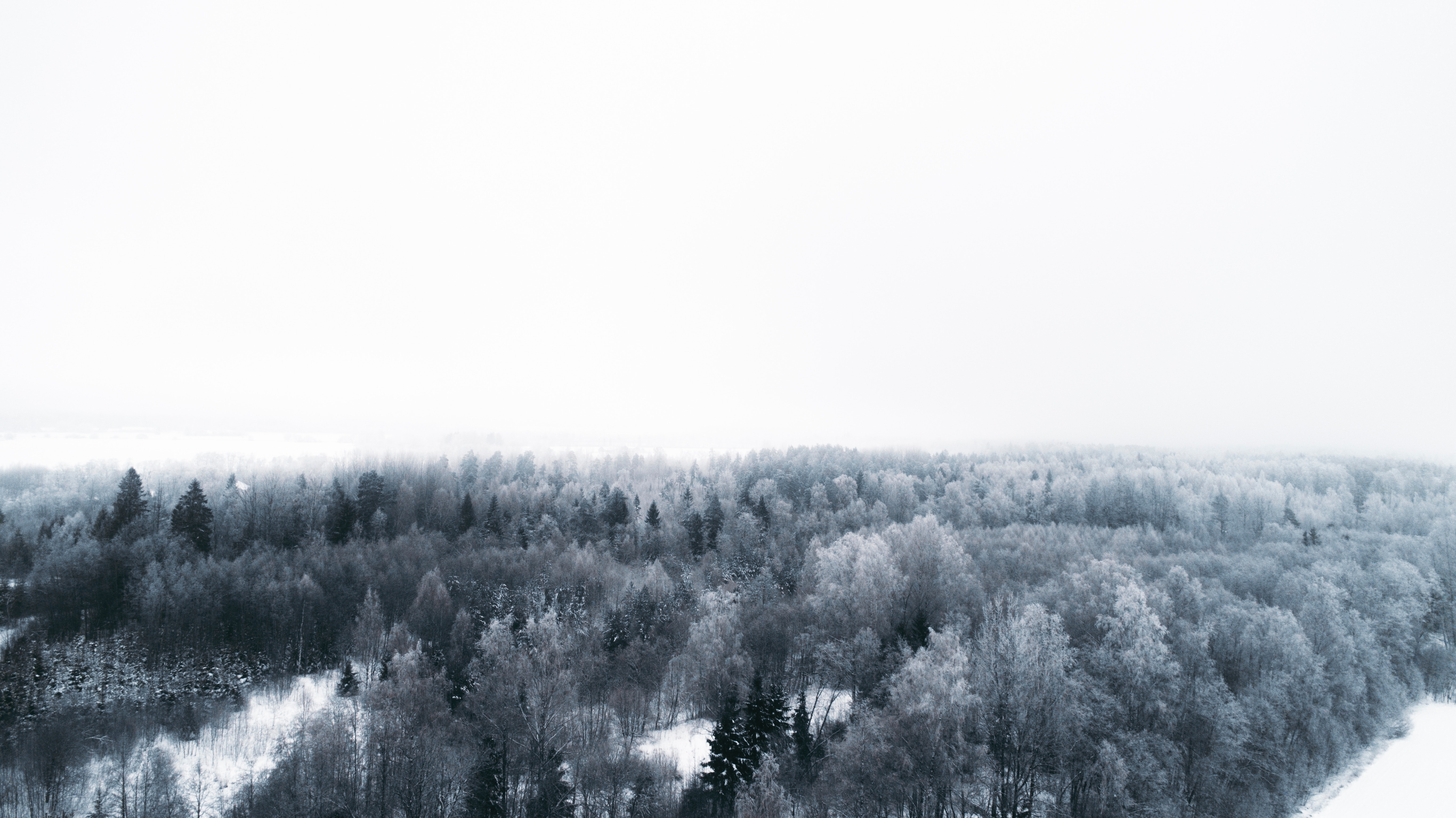 Free download wallpaper Winter, Trees, View From Above, Minimalism on your PC desktop