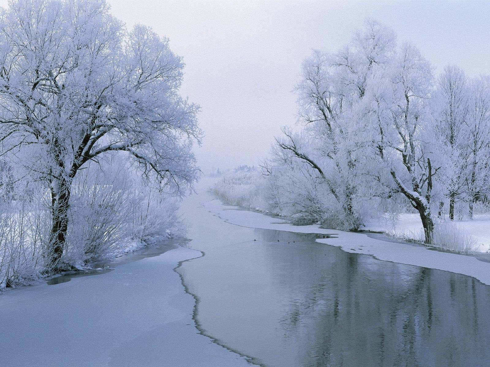 Скачать картинку Деревья, Река, Пейзаж, Зима, Снег в телефон бесплатно.