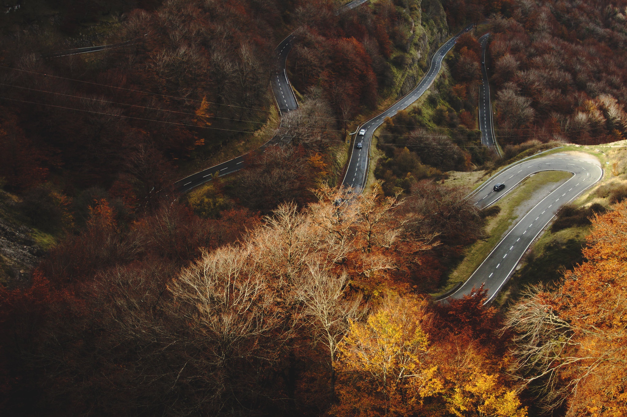 Descarga gratuita de fondo de pantalla para móvil de Naturaleza, Otoño, Bosque, Fotografía, Carretera, Fotografía Aérea.