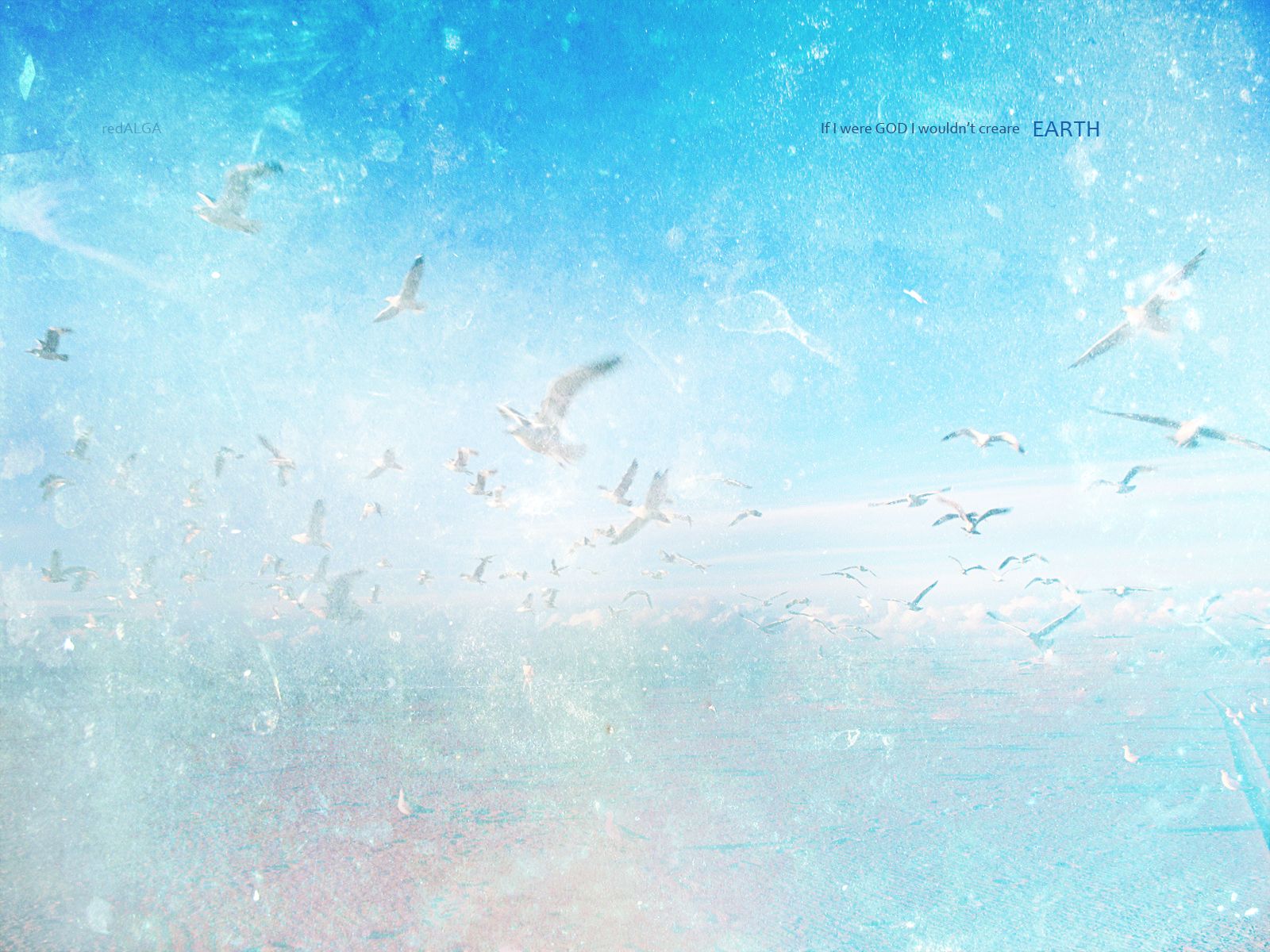 Free download wallpaper Sky, Seagull, Artistic, Cloud, Other on your PC desktop
