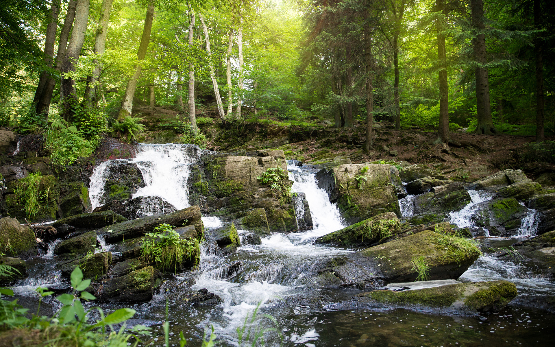 Download mobile wallpaper Stream, Waterfall, Waterfalls, Forest, Earth for free.