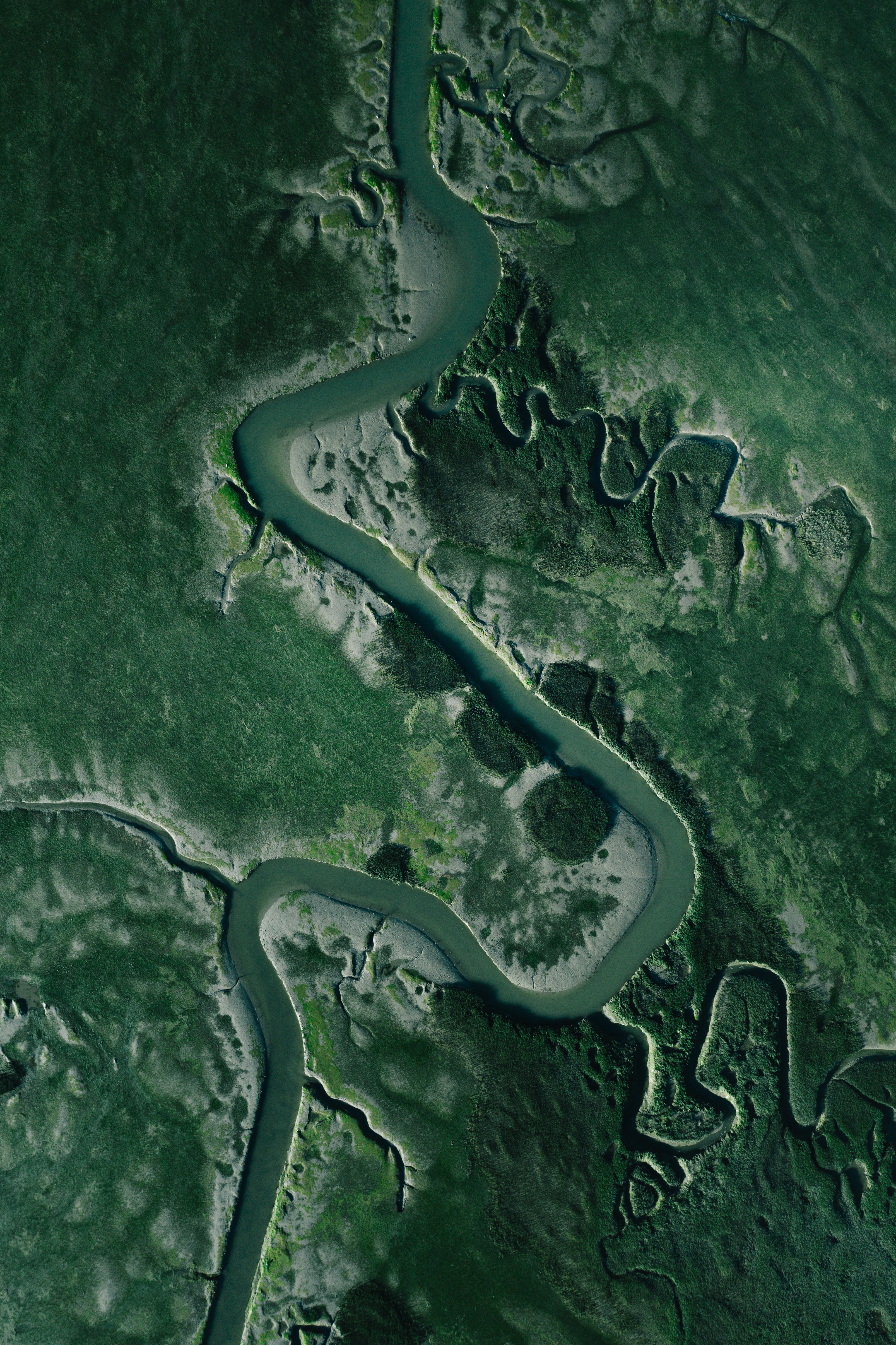 view from above, nature, rivers, grass, winding, sinuous