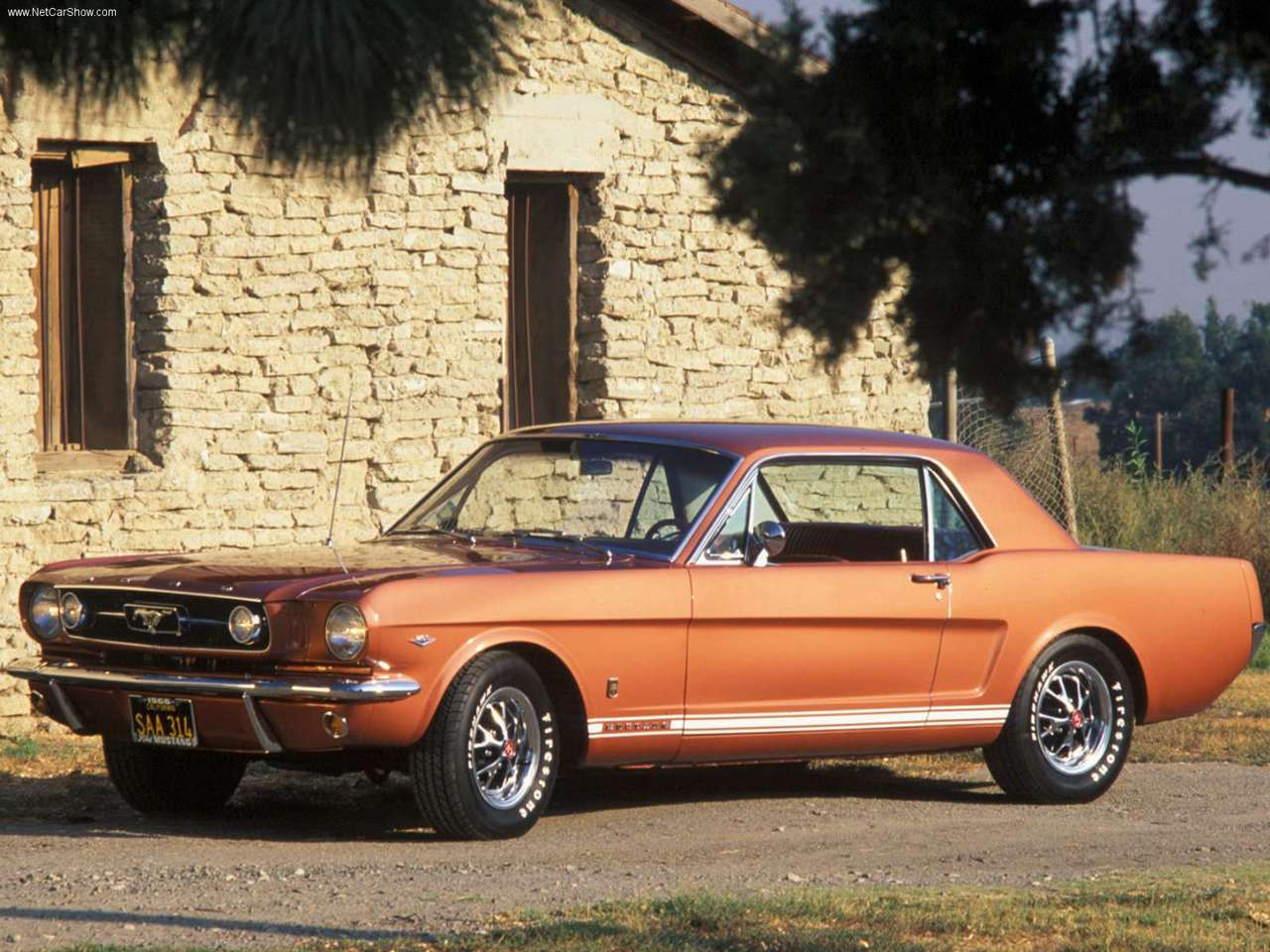 Baixe gratuitamente a imagem Ford Mustang, Veículos na área de trabalho do seu PC