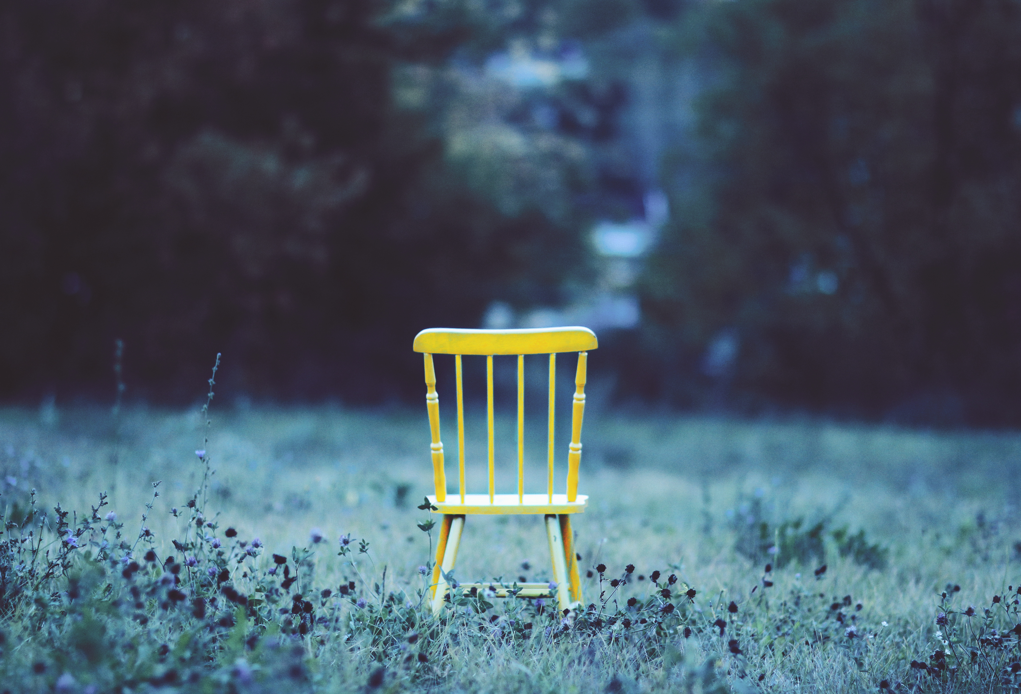 Download mobile wallpaper Grass, Chair, Field, Flowers, Minimalism for free.