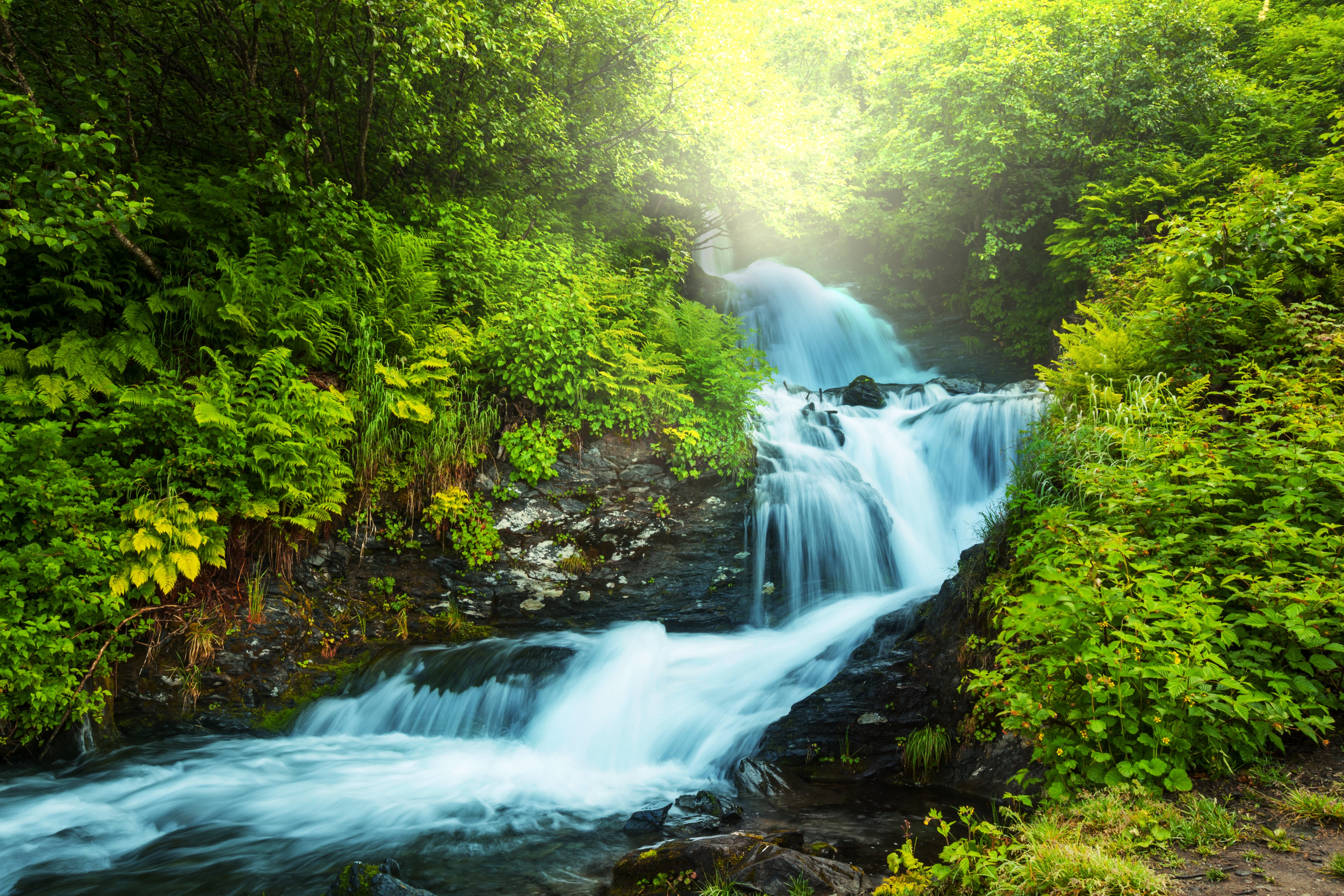 Handy-Wallpaper Wasserfälle, Wasserfall, Baum, Erde/natur kostenlos herunterladen.