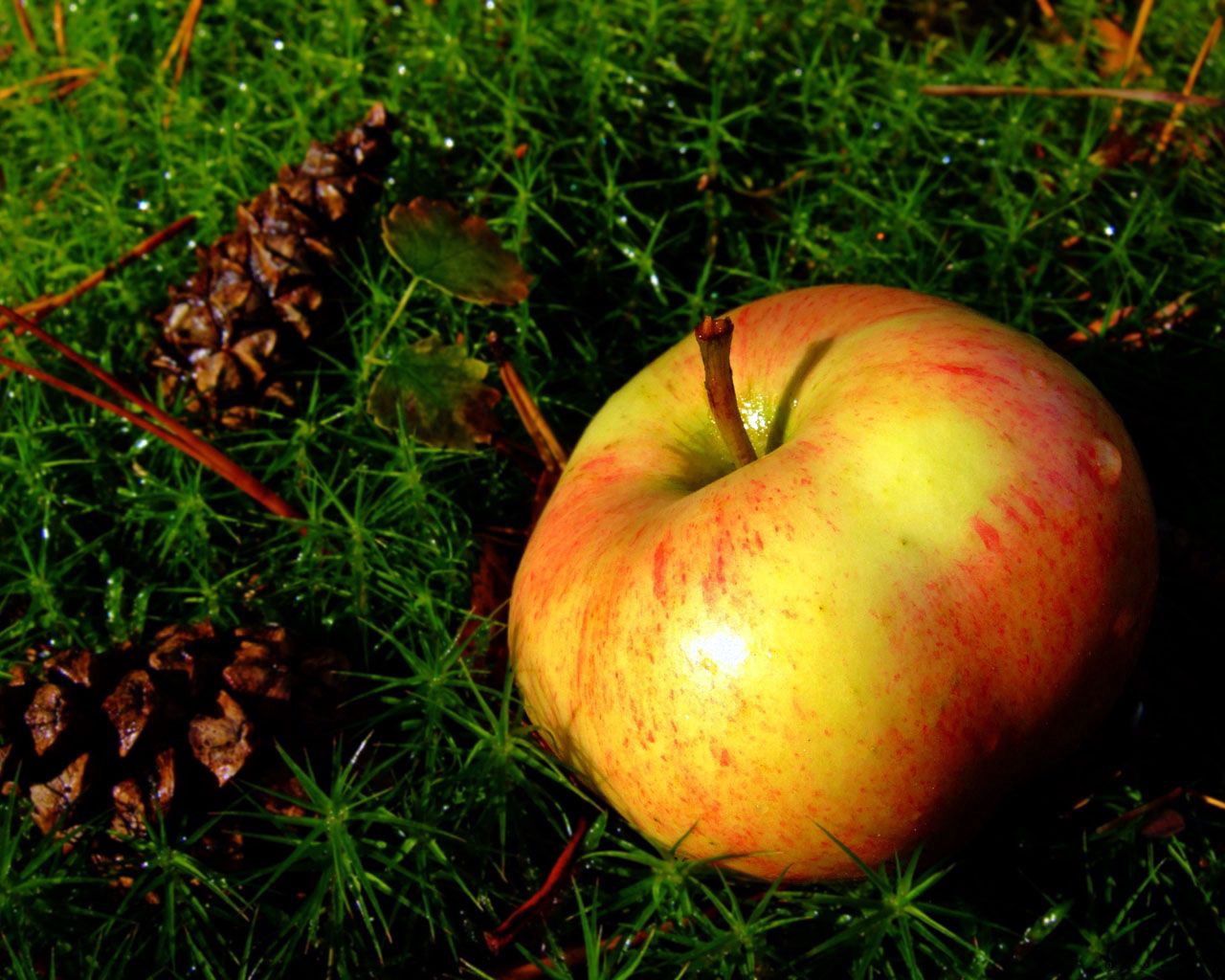 Download mobile wallpaper Ripe, Grass, Food, Fruit, Apple for free.