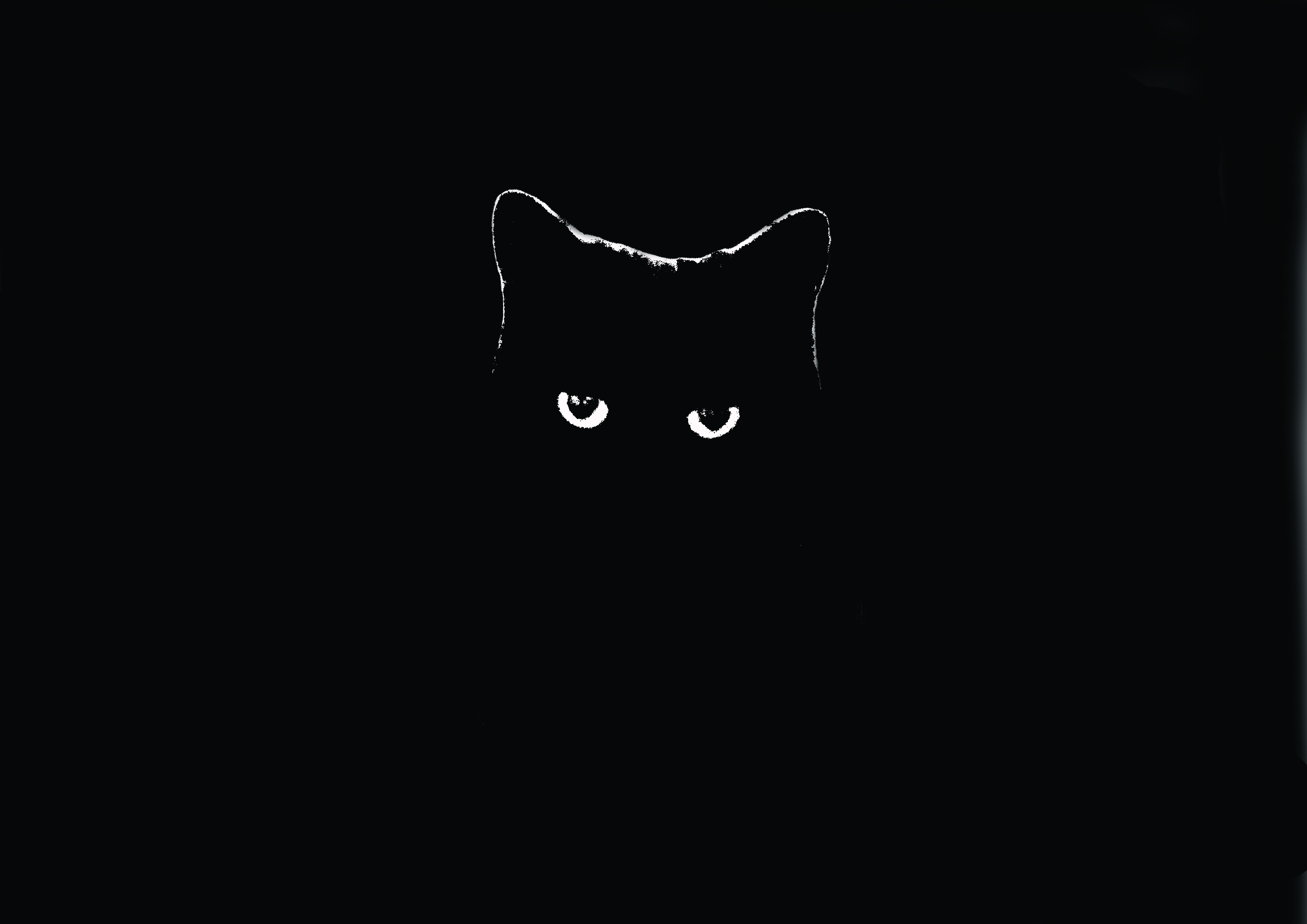 Скачать картинку Животные, Кошка, Чёрный, Кошки в телефон бесплатно.