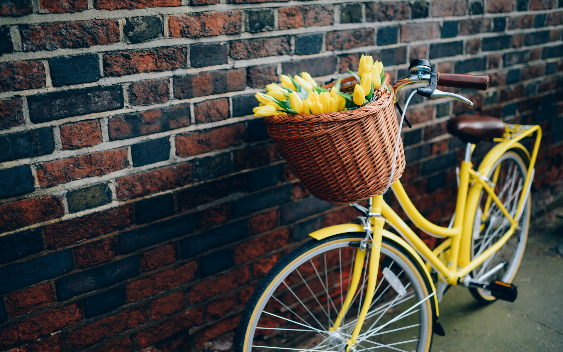 Téléchargez gratuitement l'image Vélo, Véhicules sur le bureau de votre PC