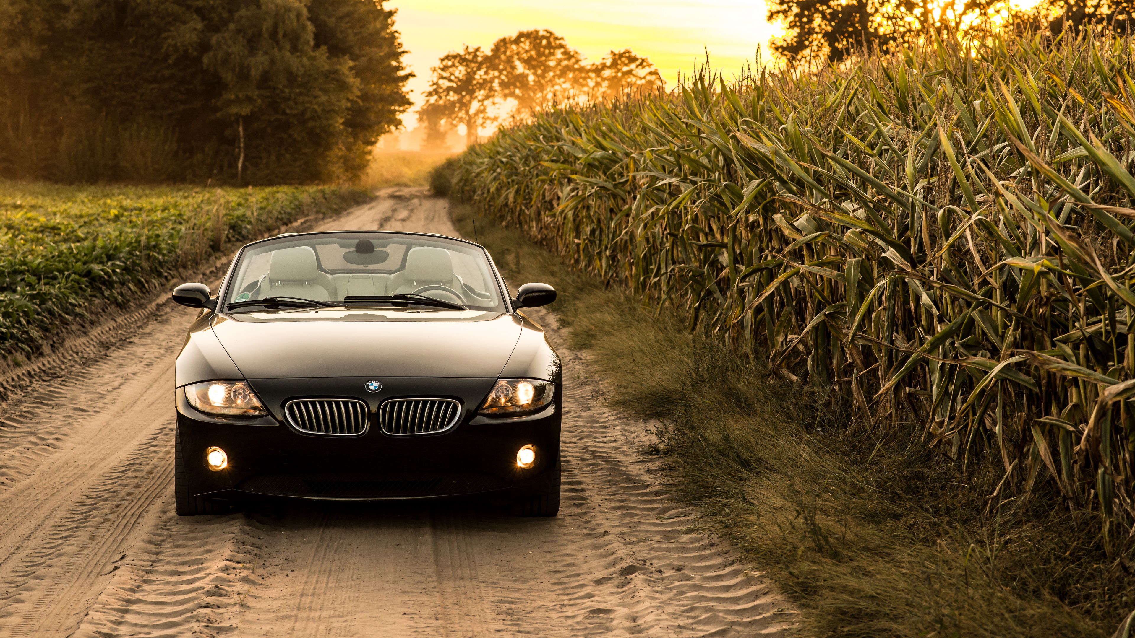 Download mobile wallpaper Bmw Z4, Vehicles, Bmw for free.