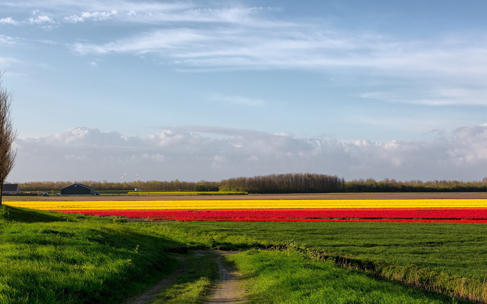 Téléchargez des papiers peints mobile Paysage, Terre/nature gratuitement.