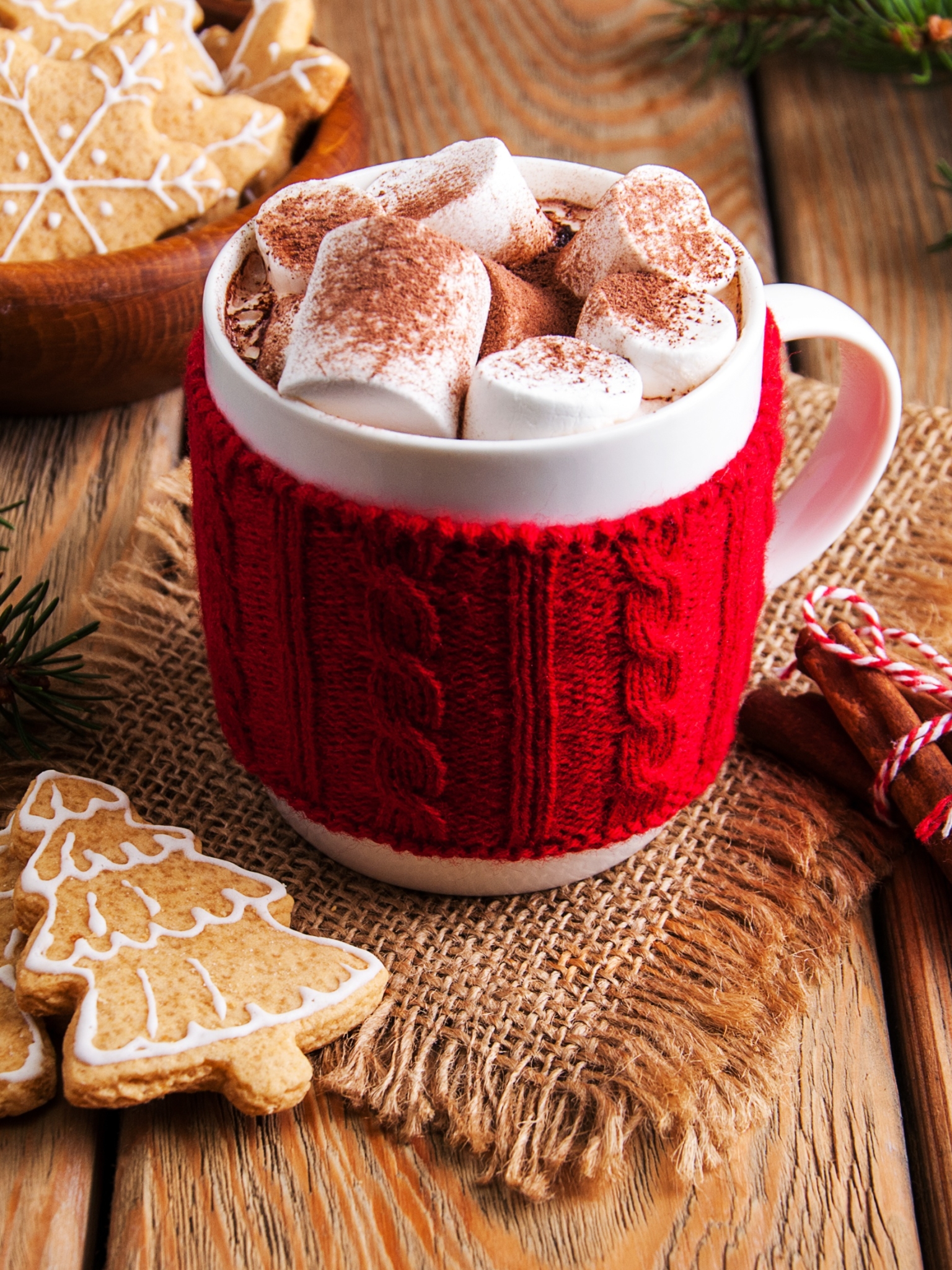 Download mobile wallpaper Food, Cinnamon, Cup, Christmas, Marshmallow, Cookie, Hot Chocolate for free.