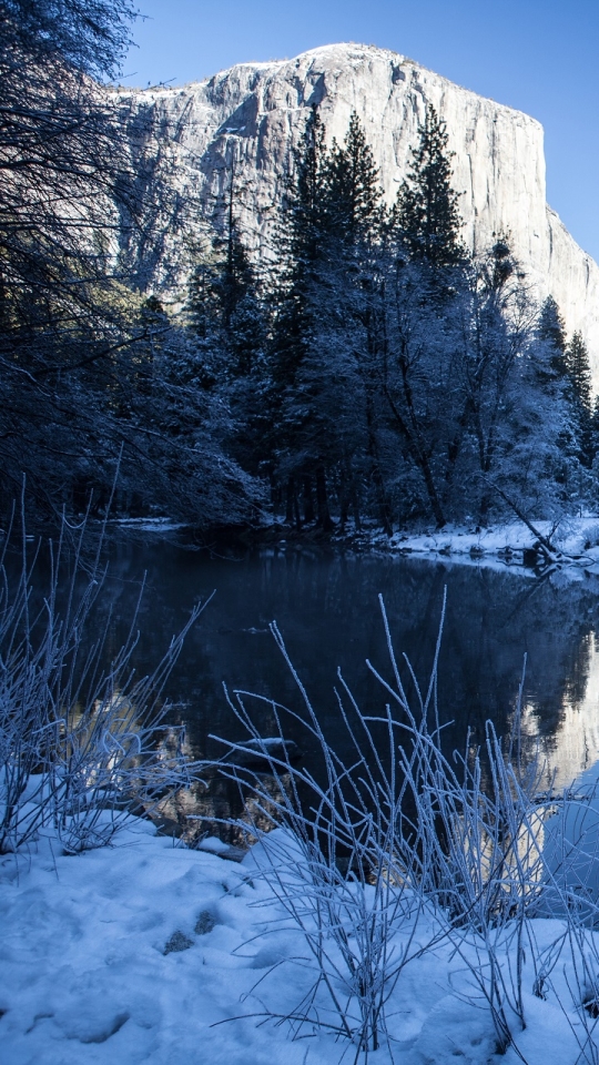 Download mobile wallpaper Winter, Snow, Reflection, Tree, Earth, River for free.