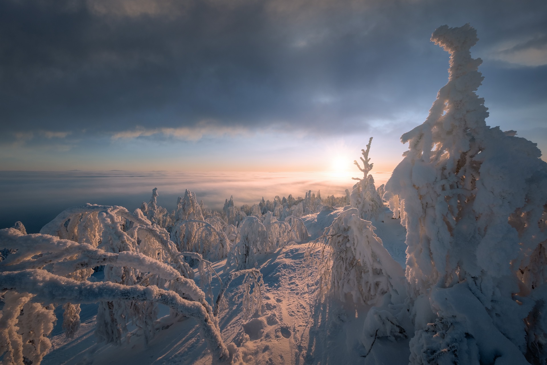 PCデスクトップに風景, 冬, 自然, 雪, 地平線, 日の出, 地球, 太陽画像を無料でダウンロード