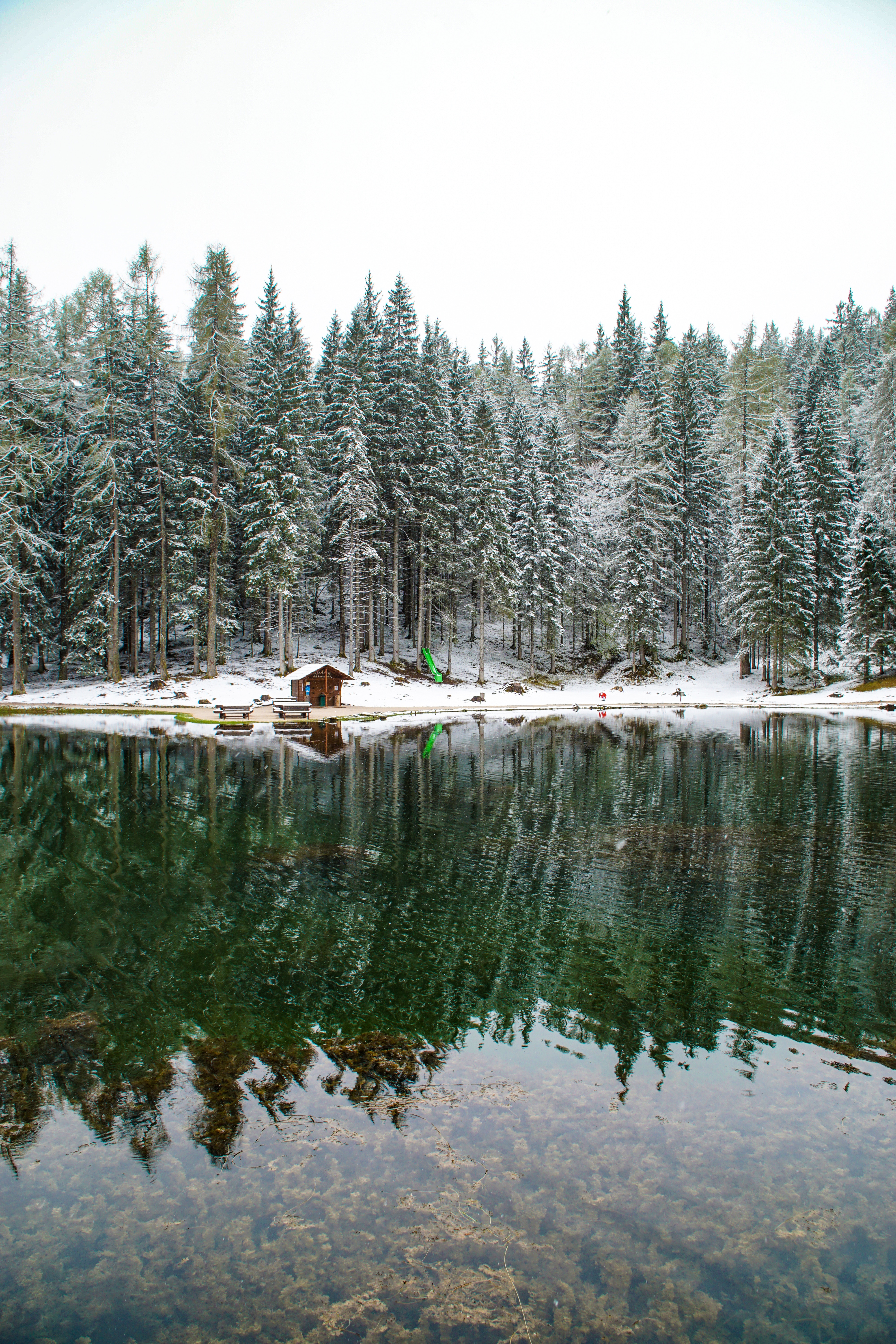 Free HD snow, small house, landscape, nature, lake, privacy, seclusion, forest, lodge