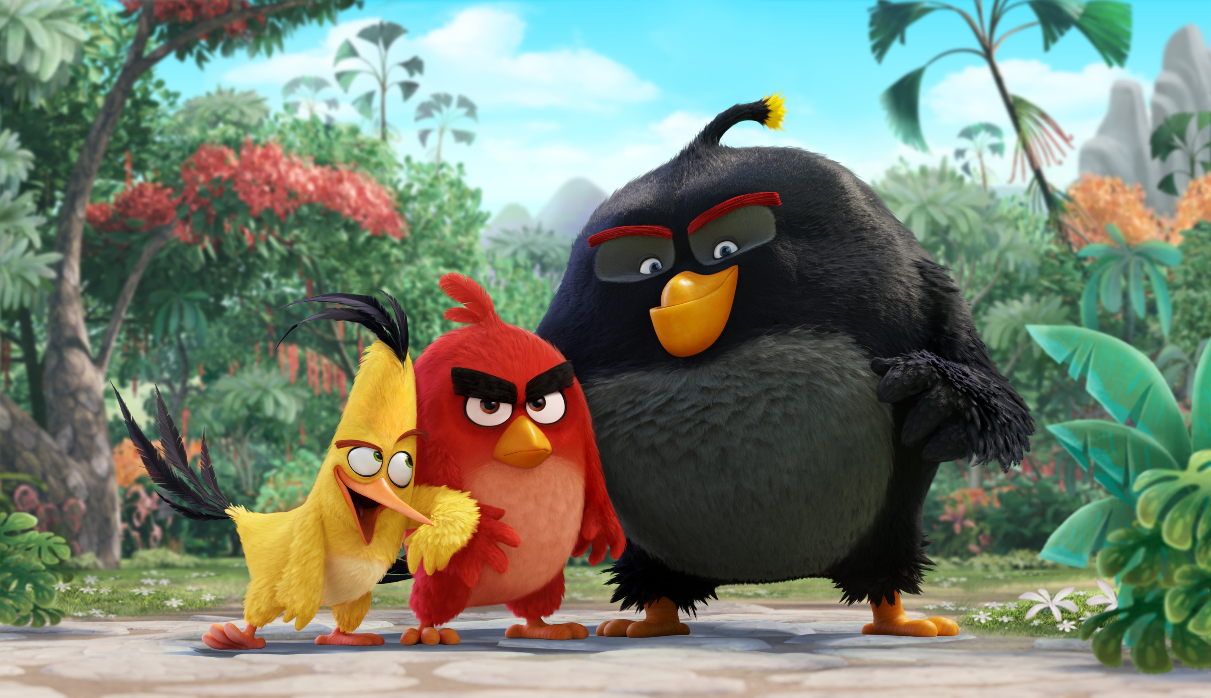 Die besten Angry Birds Der Film-Hintergründe für den Telefonbildschirm