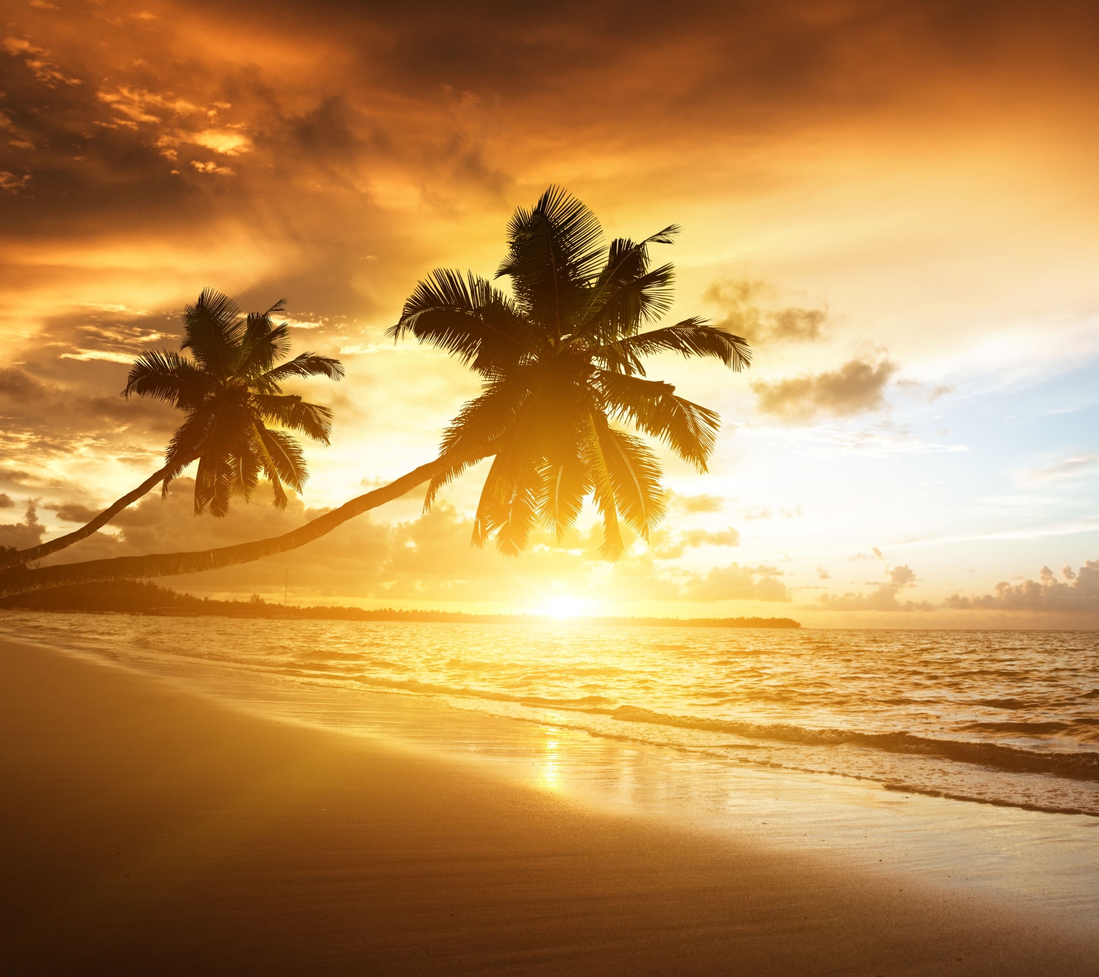 Download mobile wallpaper Nature, Sunset, Beach, Sand, Horizon, Ocean, Sunrise, Earth, Palm Tree for free.