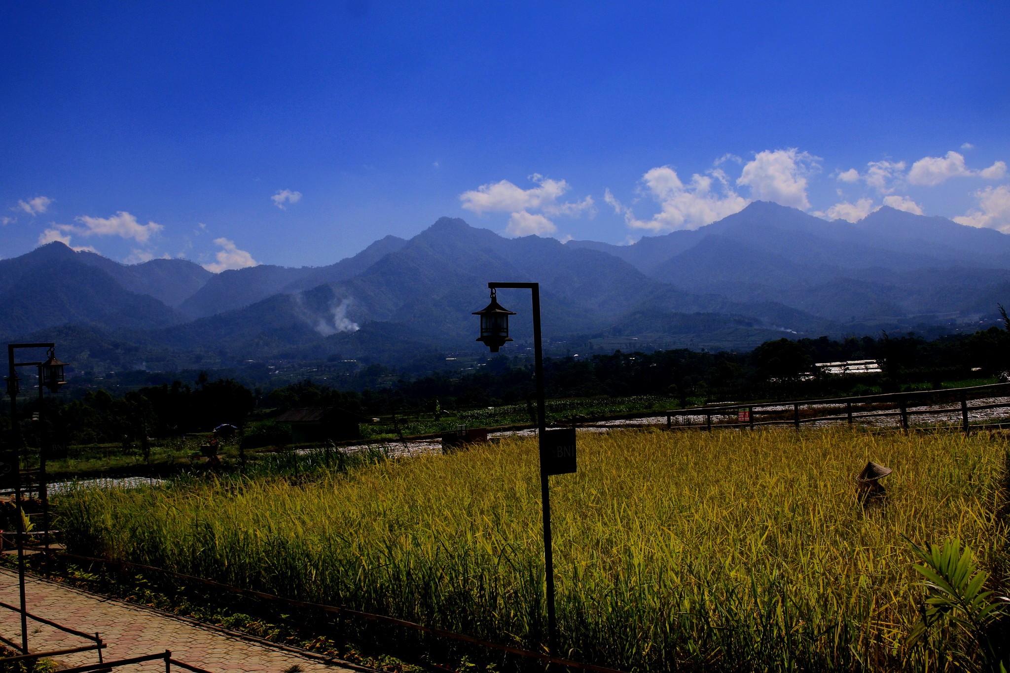 無料モバイル壁紙風景, 山, インドネシア, 写真撮影, 分野をダウンロードします。