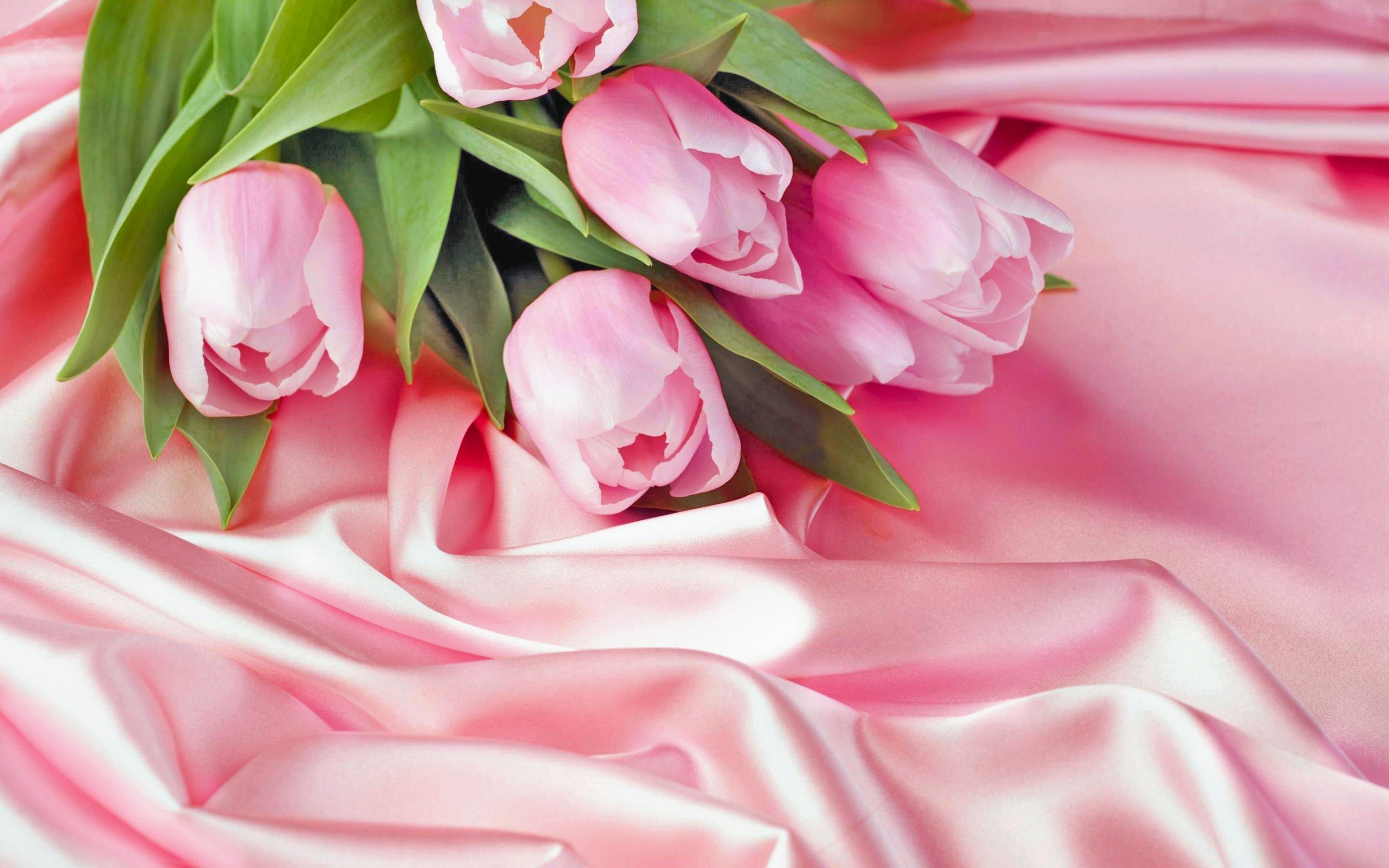 326738 descargar imagen primavera, tierra/naturaleza, tulipán, flor, pastel, flor rosa, flores: fondos de pantalla y protectores de pantalla gratis