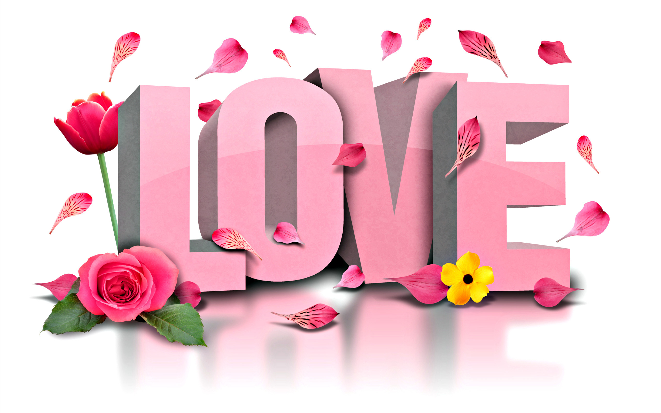 PCデスクトップにピンク, チューリップ, 花, 薔薇, 語, 花弁, 愛する, バレンタイン・デー, ホリデー画像を無料でダウンロード