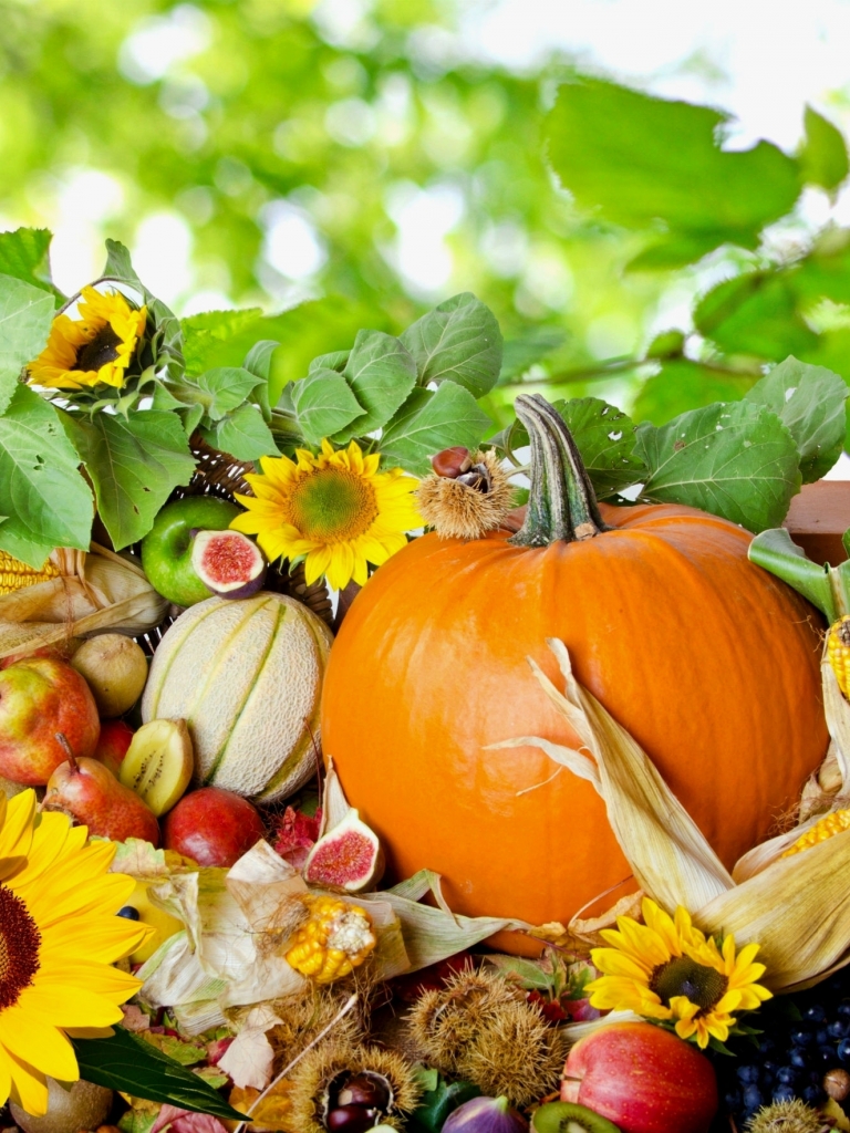 無料モバイル壁紙自然, 秋, 葉, 花, シーズン, 感謝祭, ホリデーをダウンロードします。