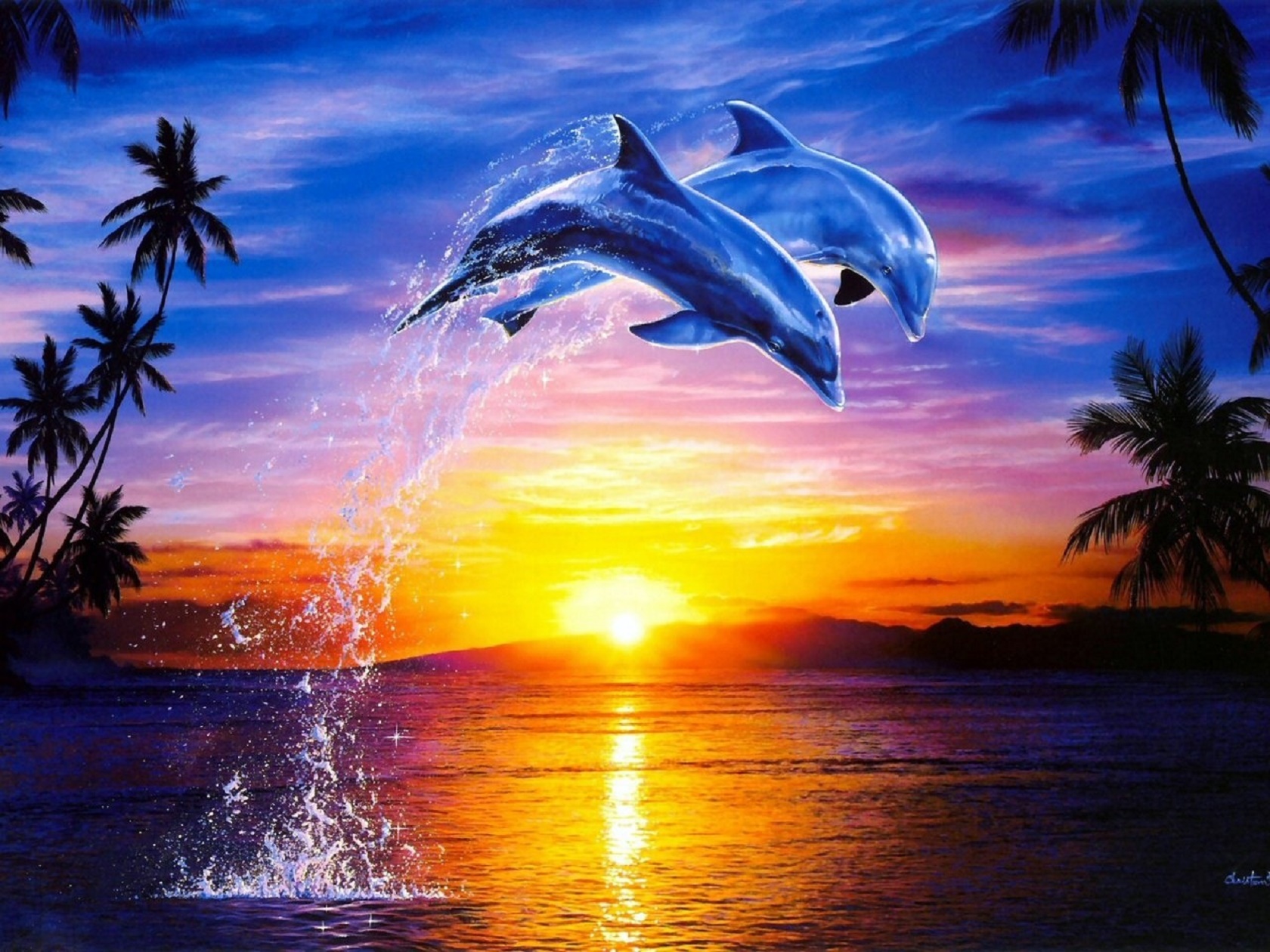 Скачать картинку Животные, Пальмы, Океан, Тропический, Дельфин, Восход Солнца в телефон бесплатно.