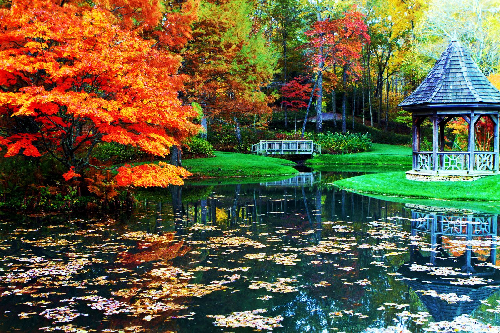 Free download wallpaper Reflection, Park, Tree, Fall, Pond, Gazebo, Man Made on your PC desktop