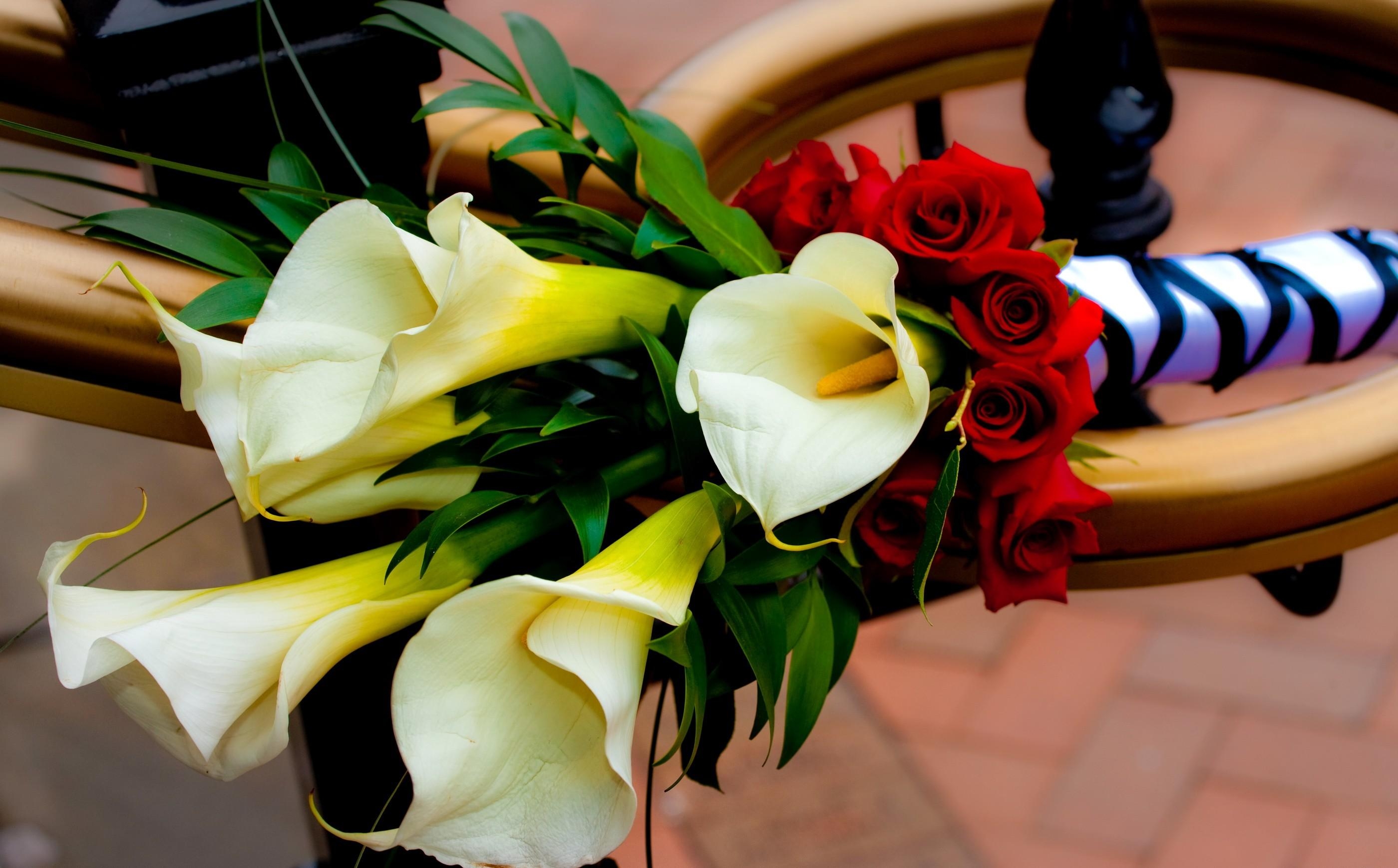 handsomely, flowers, roses, registration, typography, bouquet, calla, callas, it's beautiful