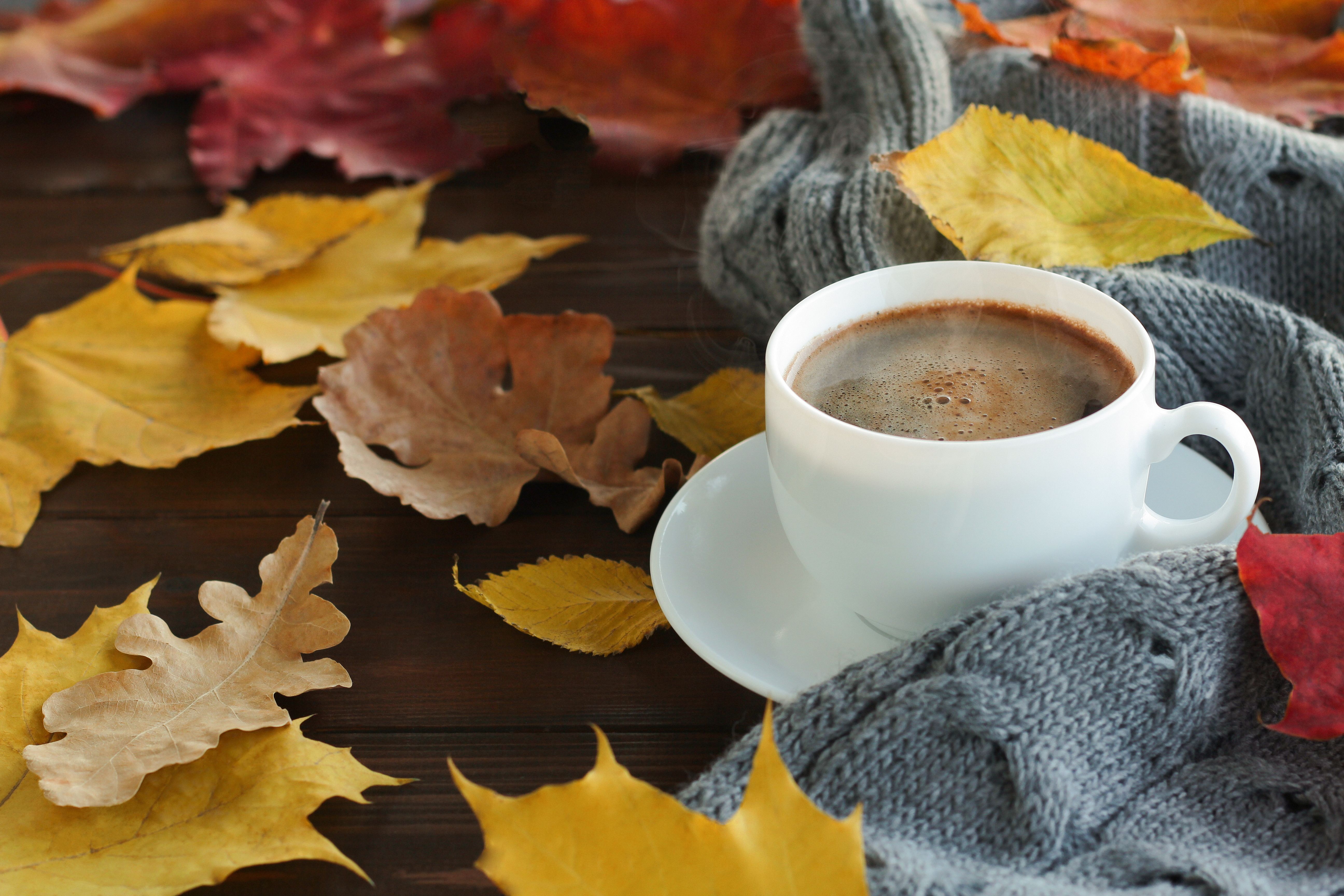 Laden Sie das Herbst, Becher, Nahrungsmittel, Stillleben, Getränk, Kaffee-Bild kostenlos auf Ihren PC-Desktop herunter