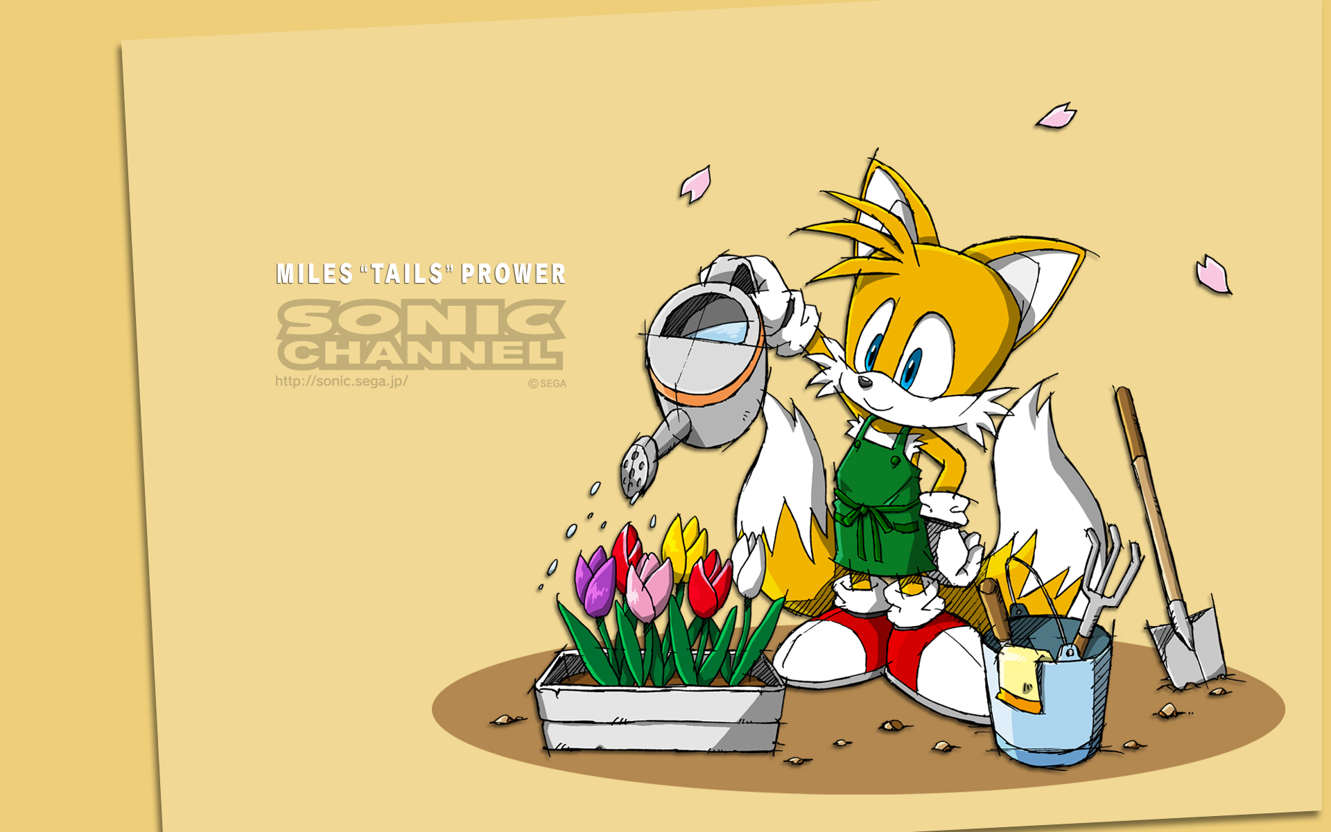Baixar papel de parede para celular de Miles 'tails' Prower, Sonic The Hedgehog, Videogame gratuito.
