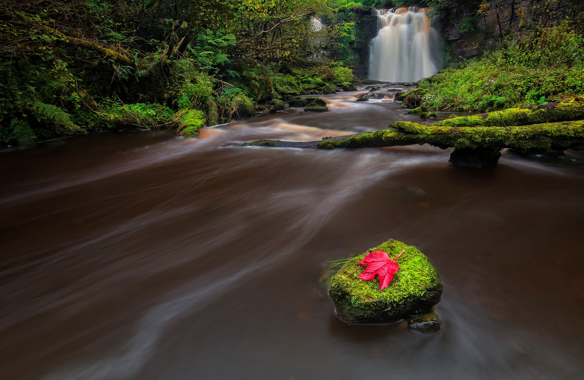 Laden Sie das Natur, Wasserfall, Blatt, Fluss, Moos, Erde/natur-Bild kostenlos auf Ihren PC-Desktop herunter