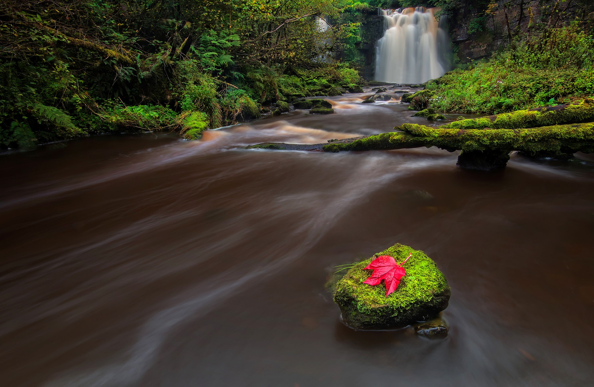 Free download wallpaper Nature, Waterfall, Leaf, Earth, Moss, River on your PC desktop