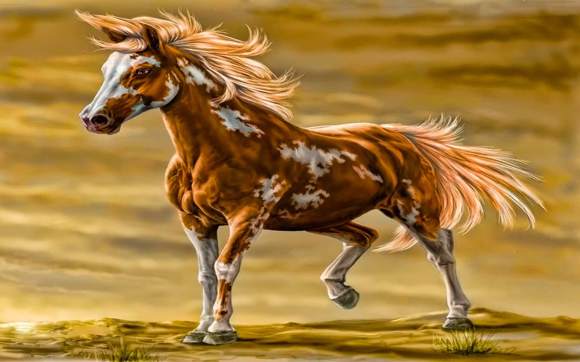 Download mobile wallpaper Animal, Horse for free.
