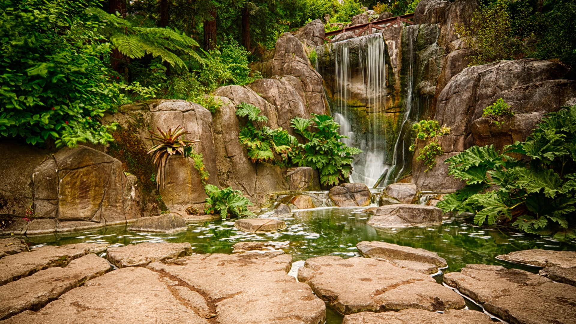 Die besten Golden Gate Park-Hintergründe für den Telefonbildschirm