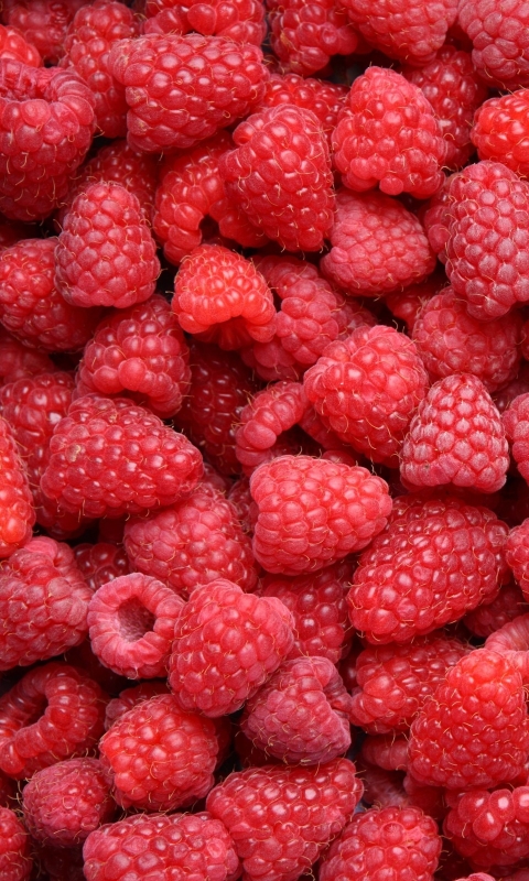 Download mobile wallpaper Fruits, Food, Raspberry for free.