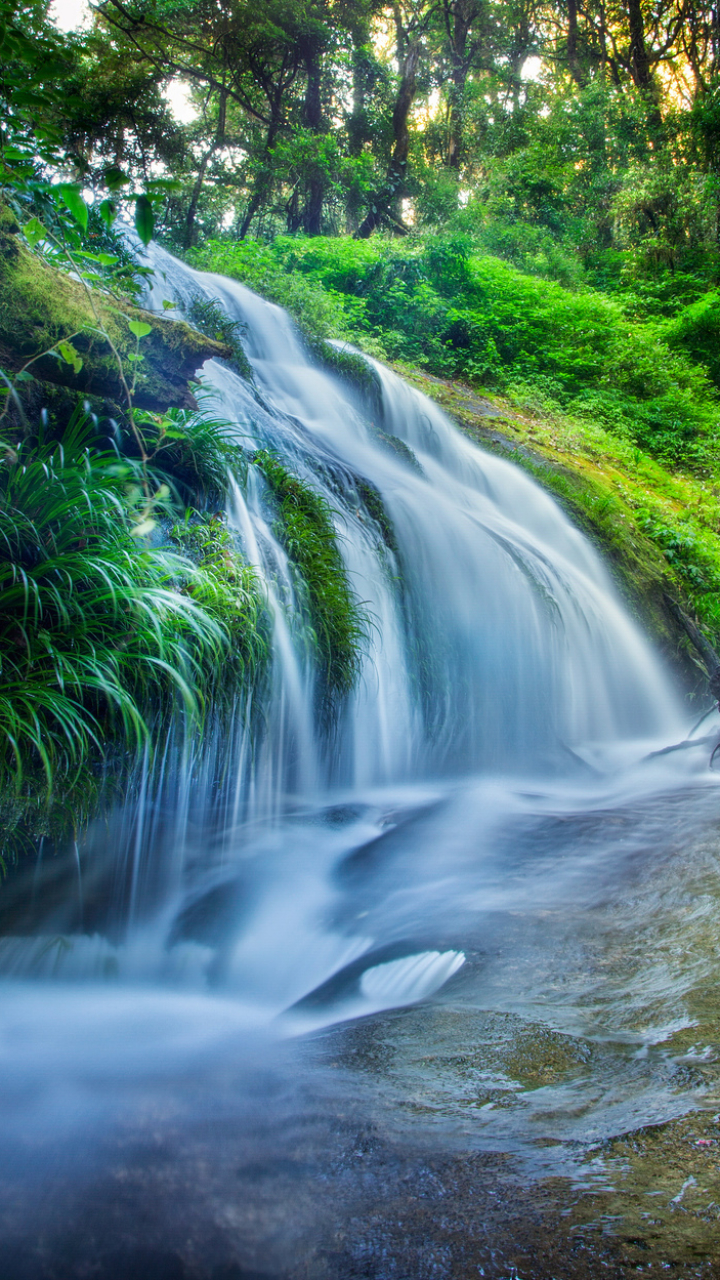 Handy-Wallpaper Wasserfälle, Wasserfall, Wald, Erde, Strom, Erde/natur kostenlos herunterladen.