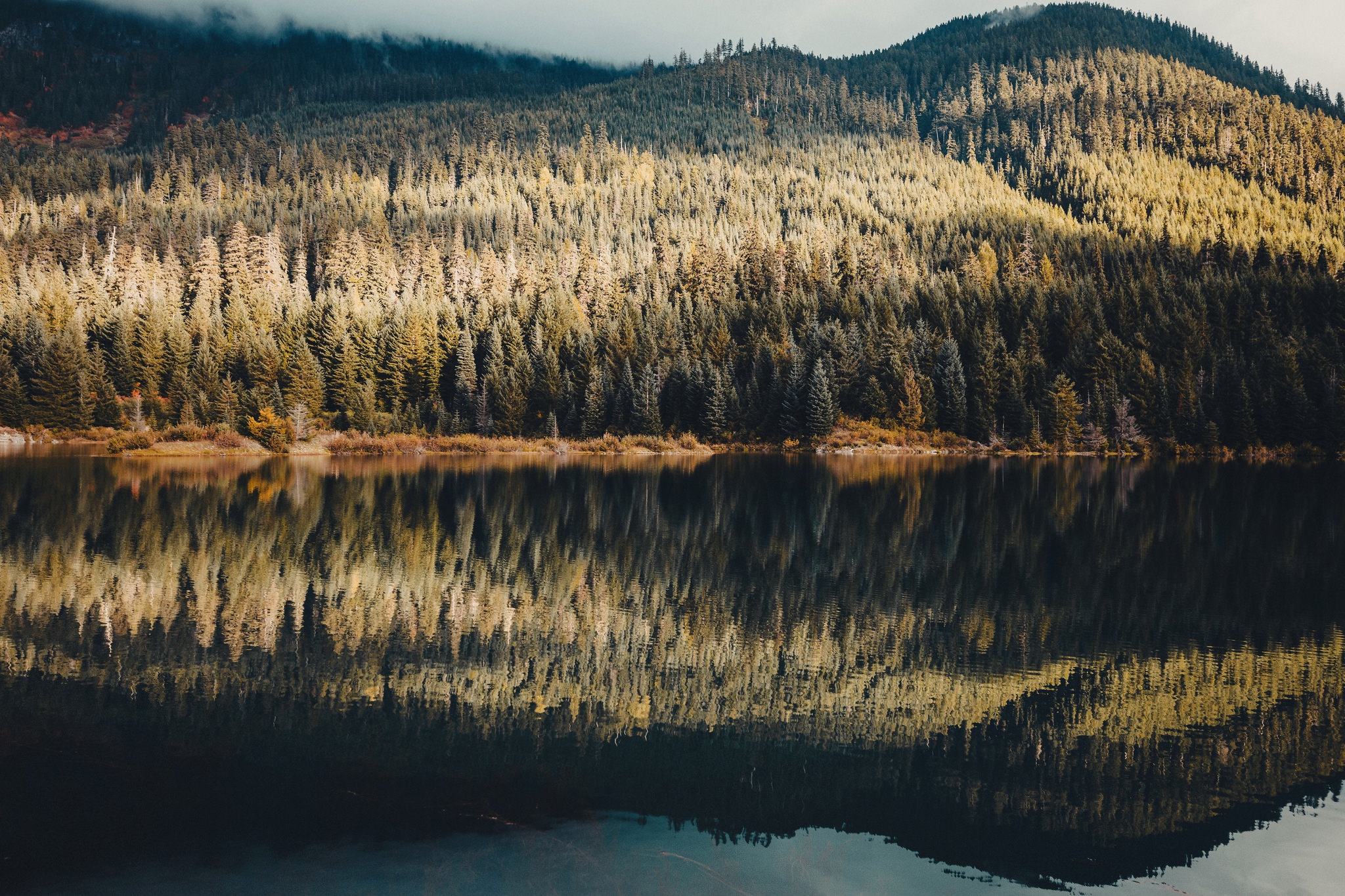 Download mobile wallpaper Nature, Lake, Reflection, Forest, Earth for free.
