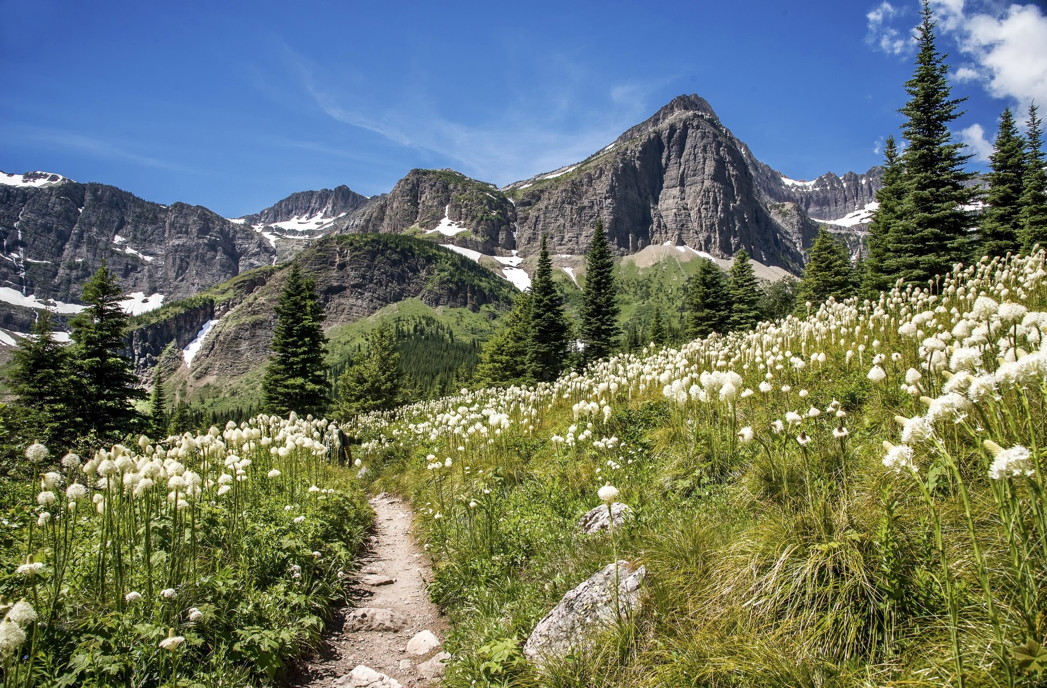 Téléchargez des papiers peints mobile Montagnes, Montagne, Fleur, Prairie, Chemin, La Nature, Terre/nature gratuitement.