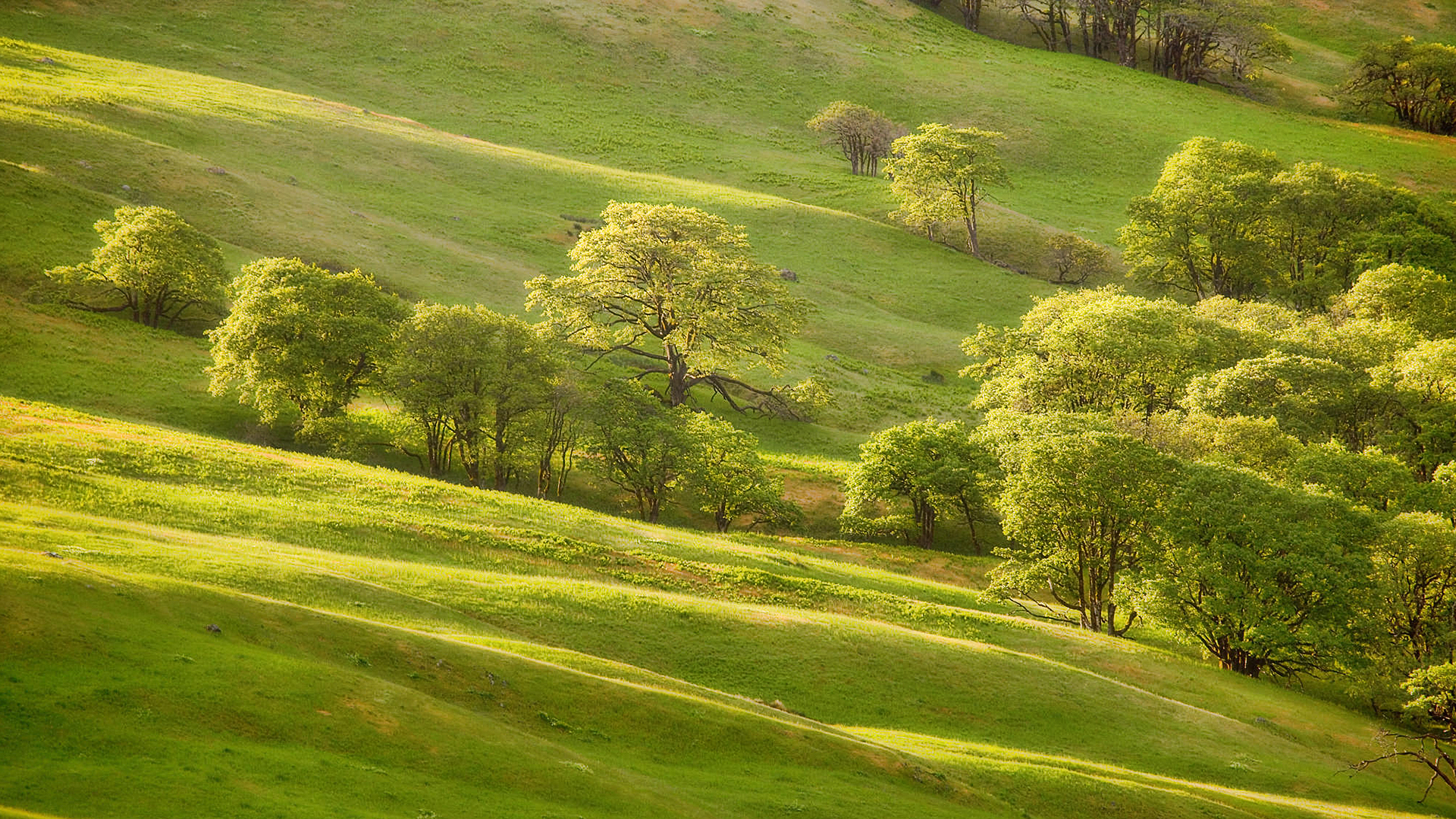 Descarga gratis la imagen Paisaje, Tierra/naturaleza en el escritorio de tu PC