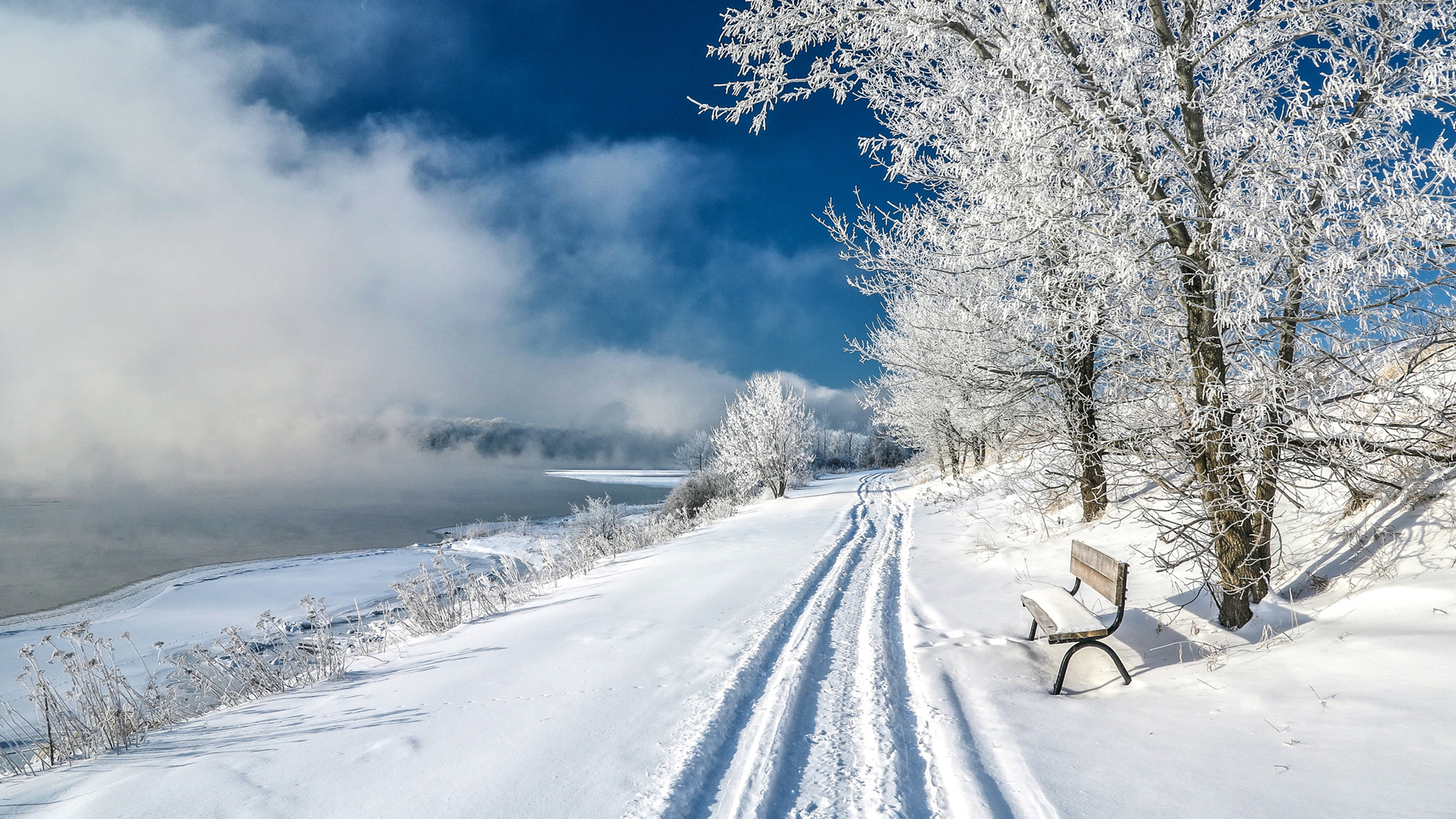 Laden Sie das Winter, Schnee, Bank, Straße, Erde/natur-Bild kostenlos auf Ihren PC-Desktop herunter