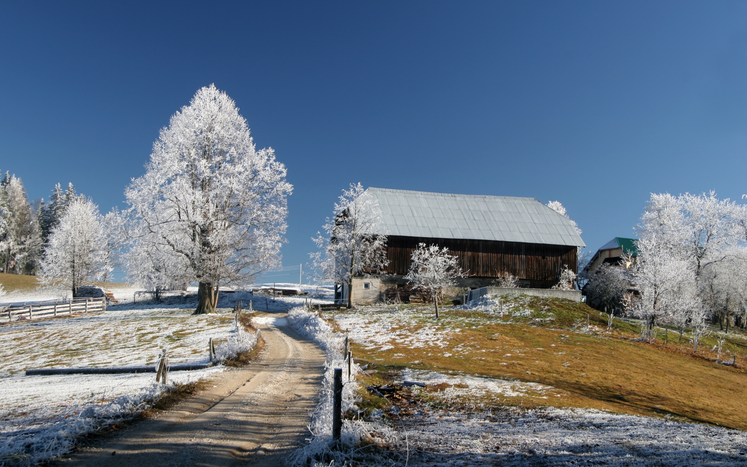 Скачать обои бесплатно Деревья, Зима, Пейзаж картинка на рабочий стол ПК