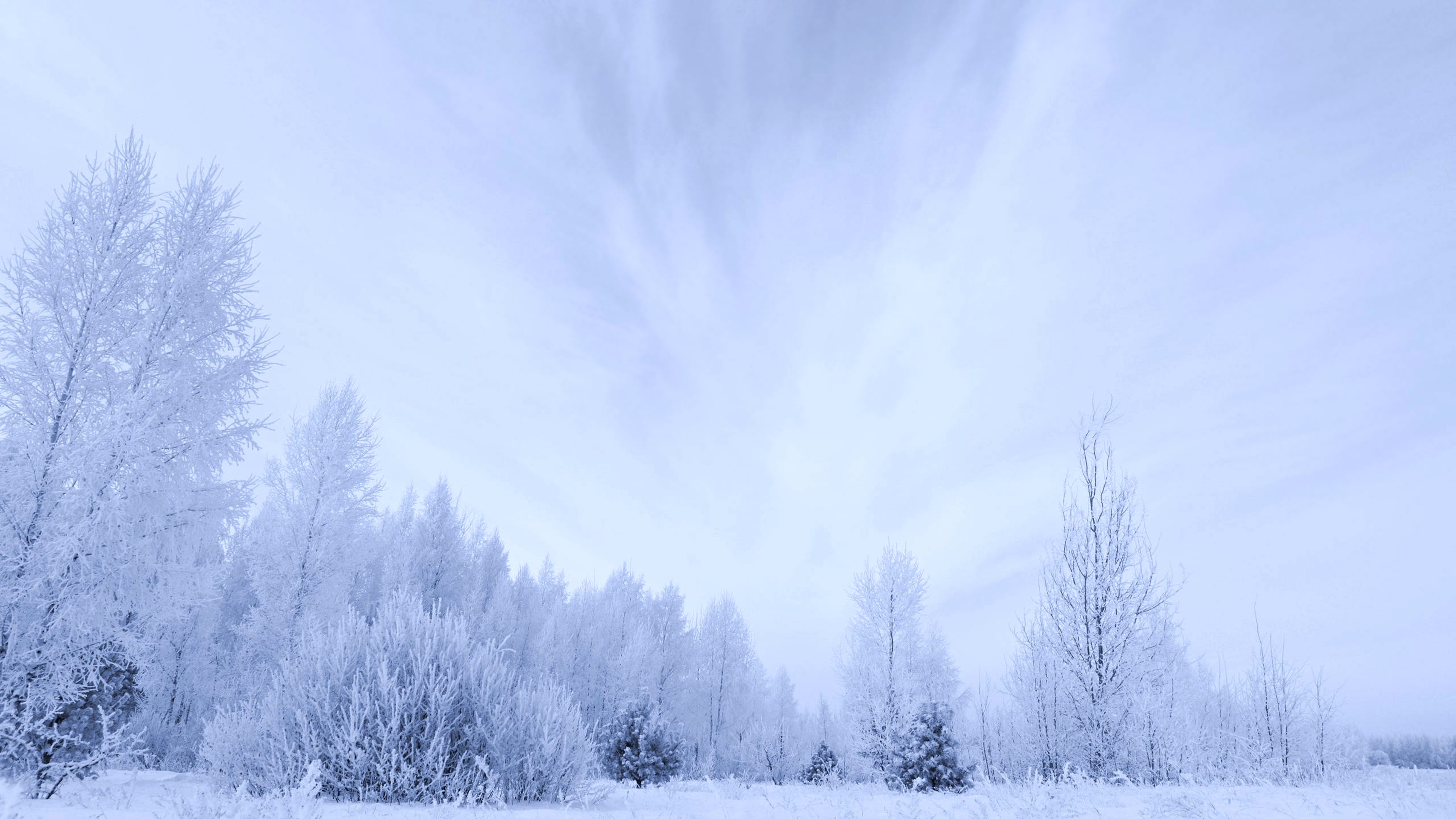 Скачать картинку Зима, Природа, Снег, Белый, Земля/природа в телефон бесплатно.