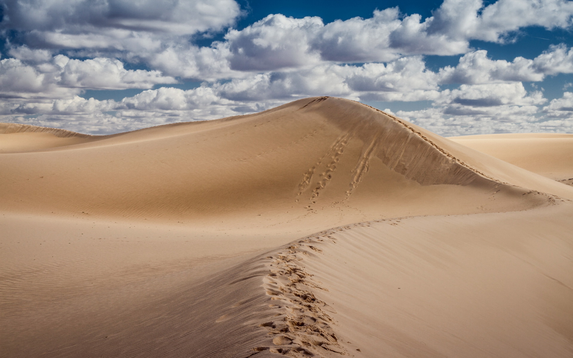 Descarga gratis la imagen Desierto, Tierra/naturaleza en el escritorio de tu PC