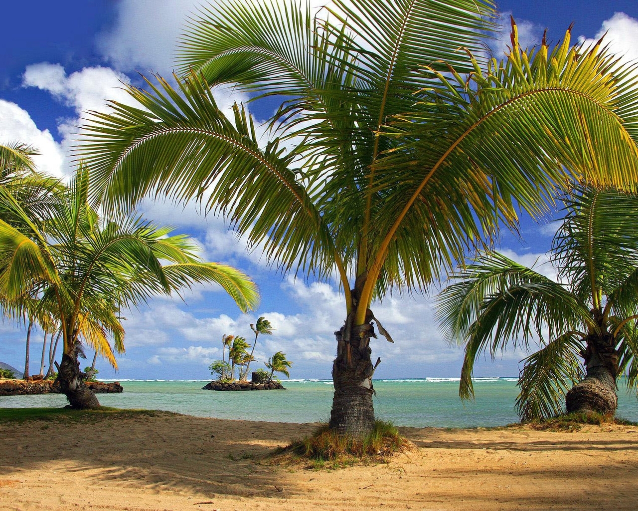 Handy-Wallpaper Bäume, Palms, Landschaft, Strand kostenlos herunterladen.