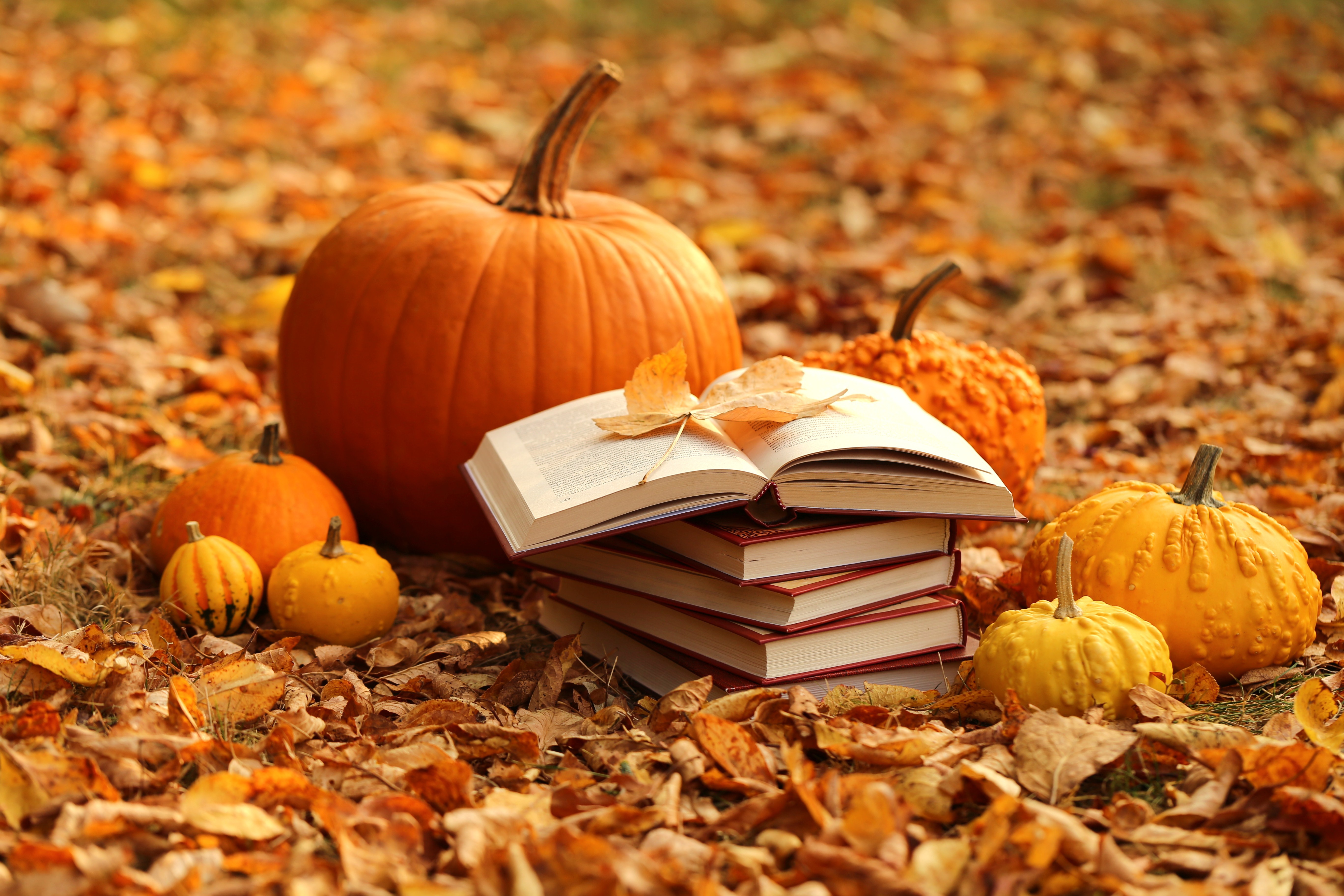 Download mobile wallpaper Pumpkin, Still Life, Leaf, Fall, Book, Photography for free.