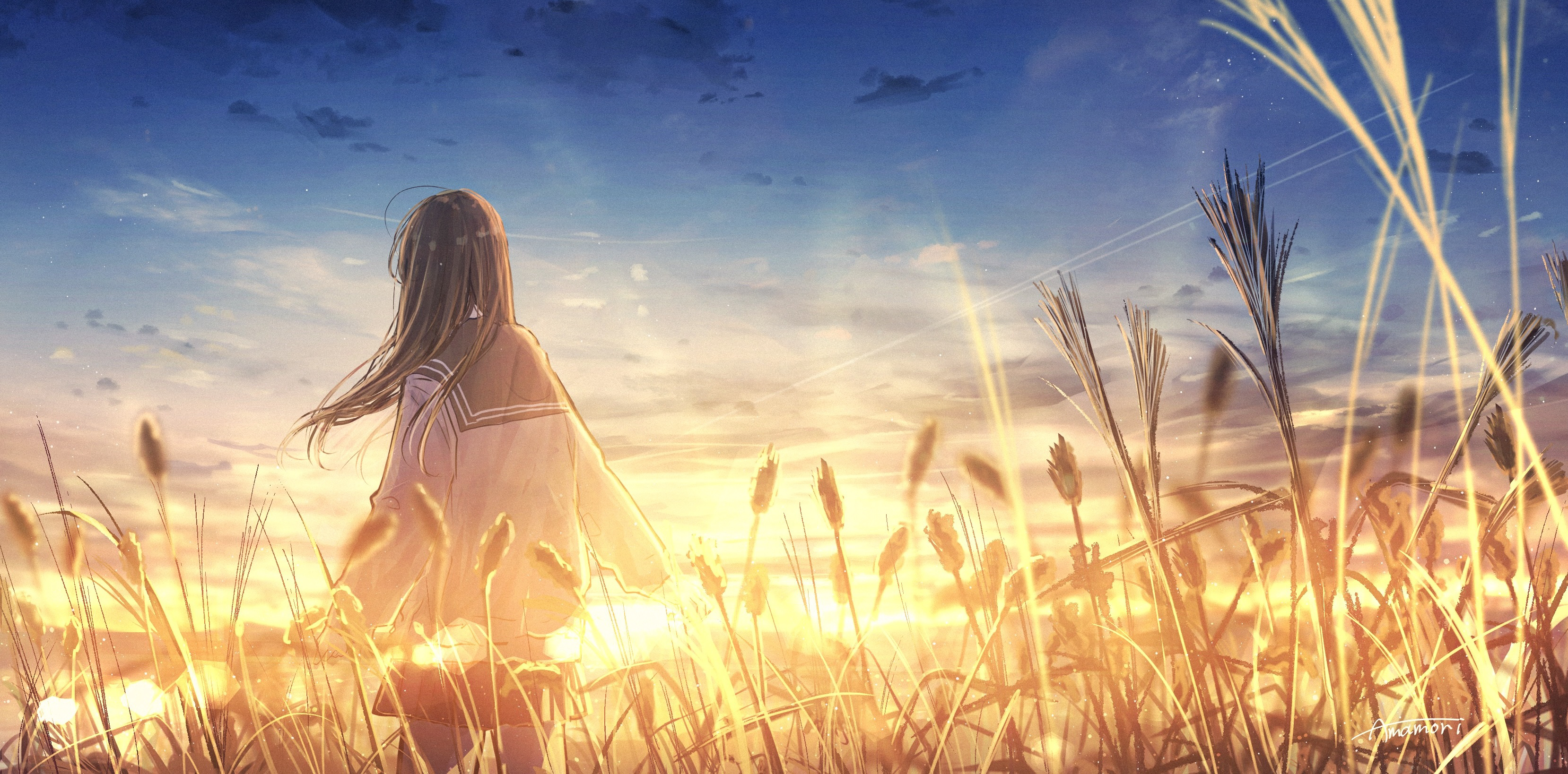 Download mobile wallpaper Anime, Sunset, Sky, Girl for free.